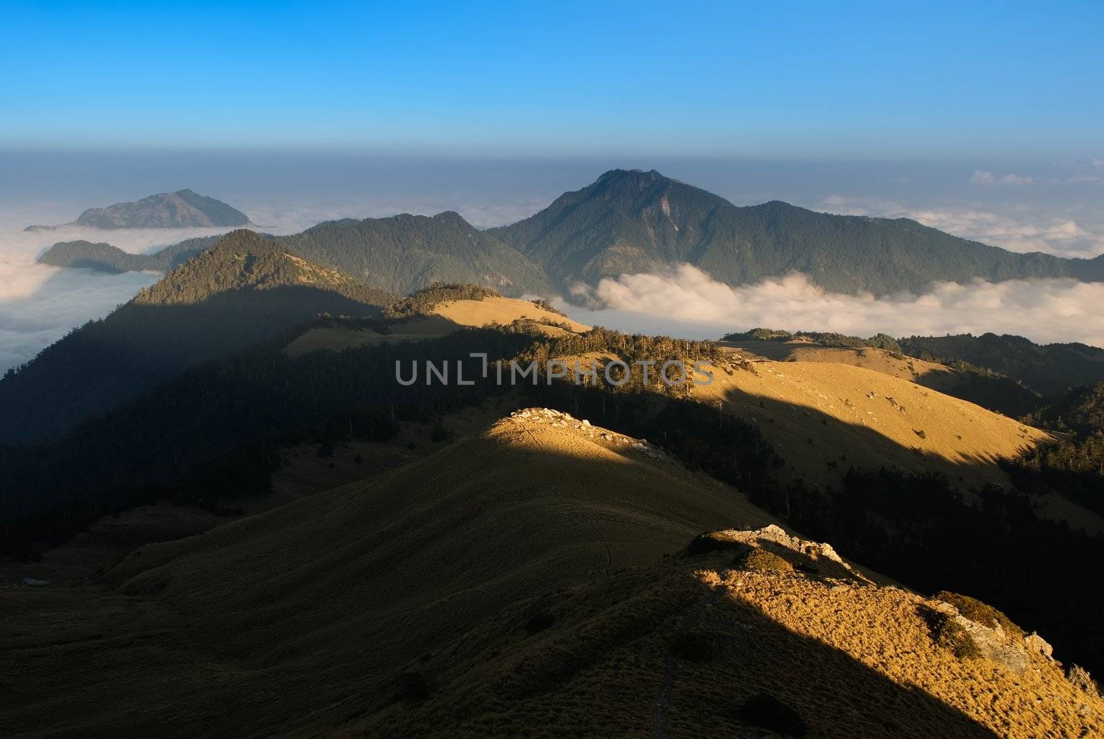 Sunset beautiful high mountain and golden grassland. by elwynn