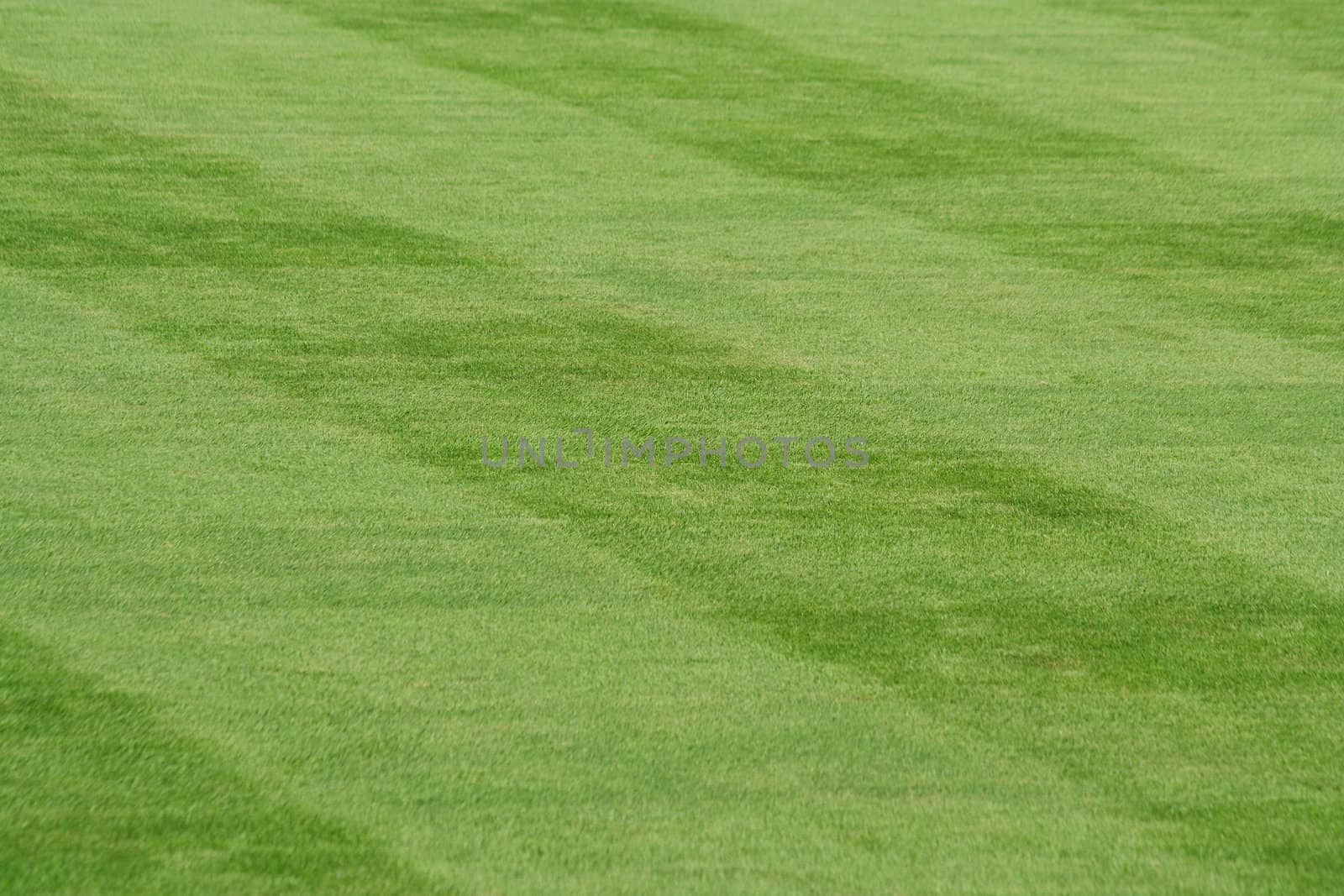 Striped grass on a baseball field