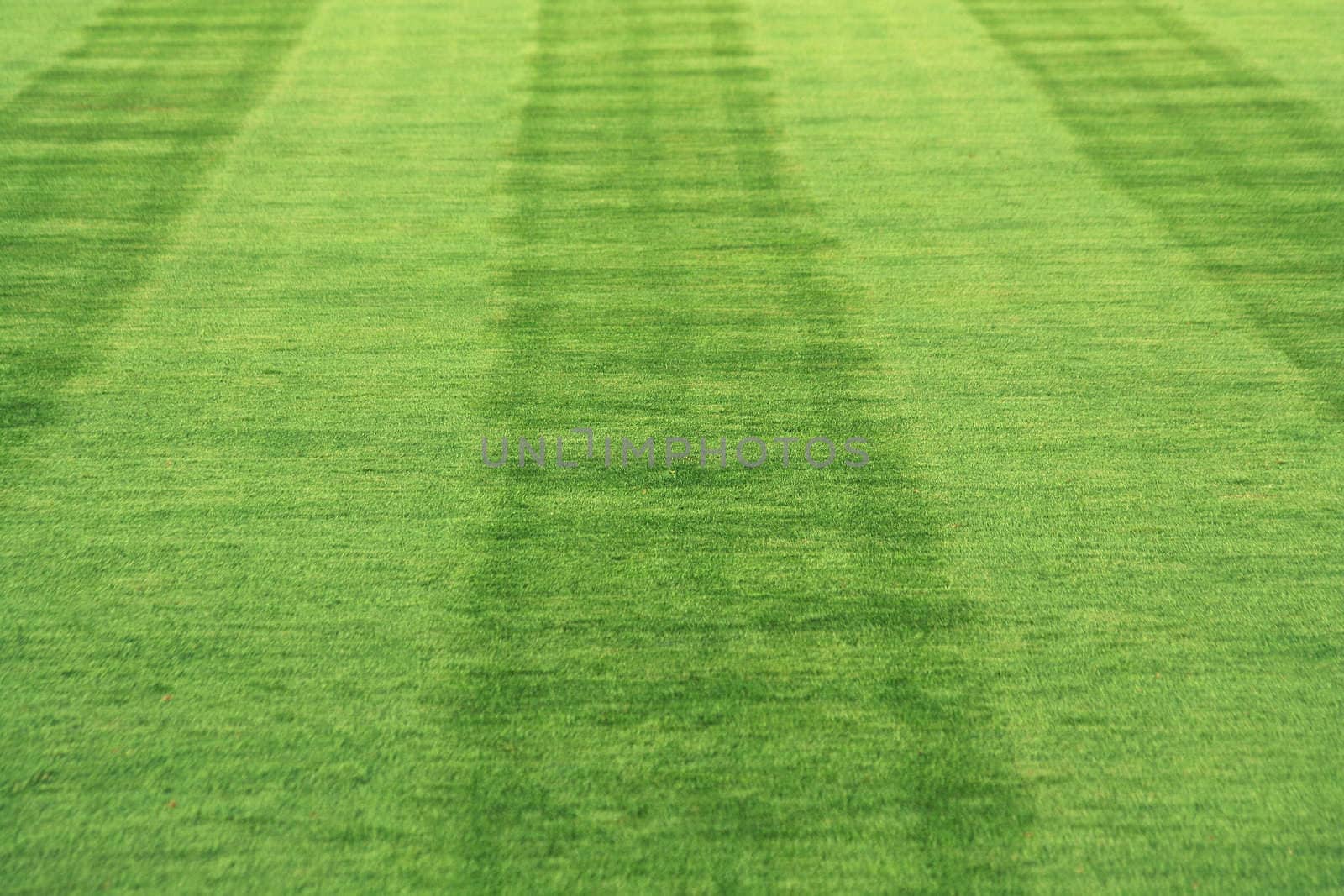 Striped grass on a baseball field