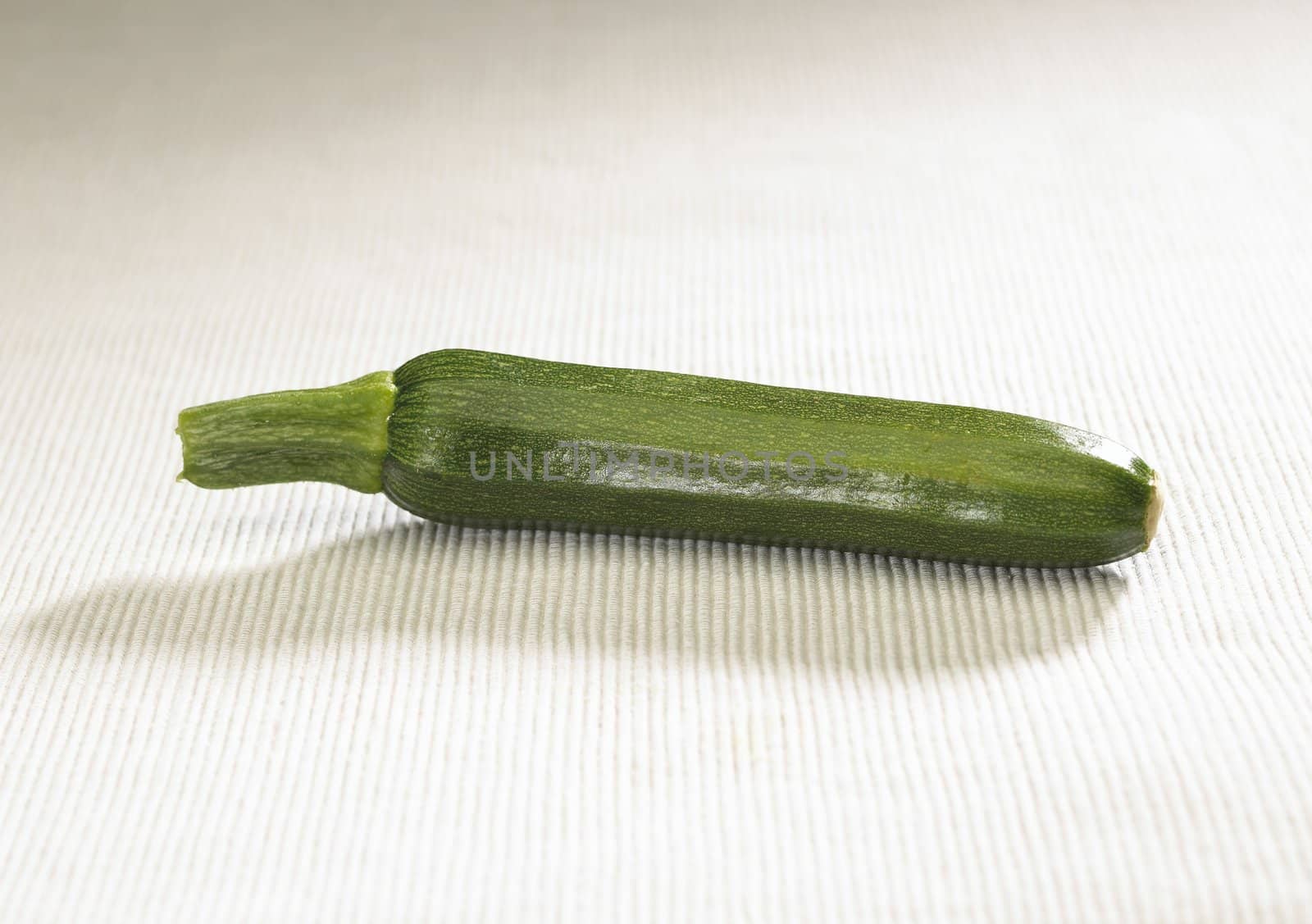 Isolated zucchini