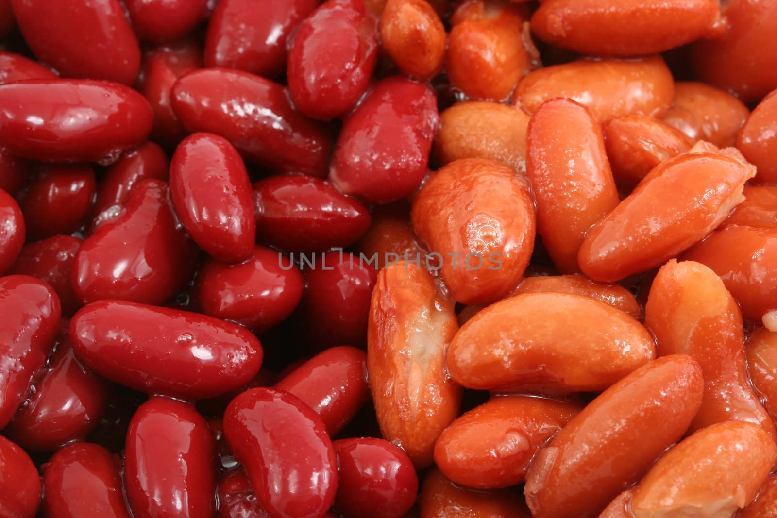 Dark and light kidney beans background