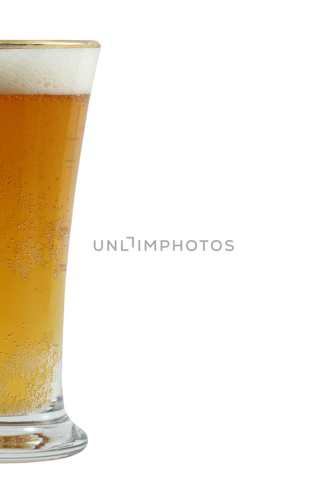 A isolated pilsner glass of beer
