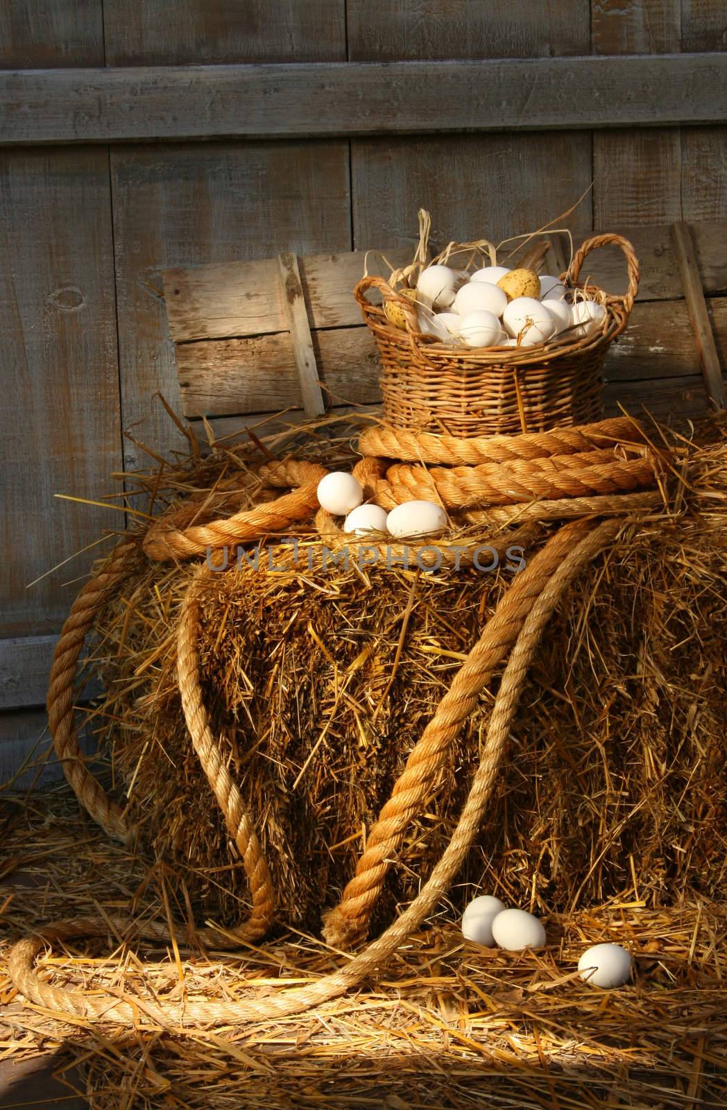 Basket of eggs on a bale of hay by Sandralise