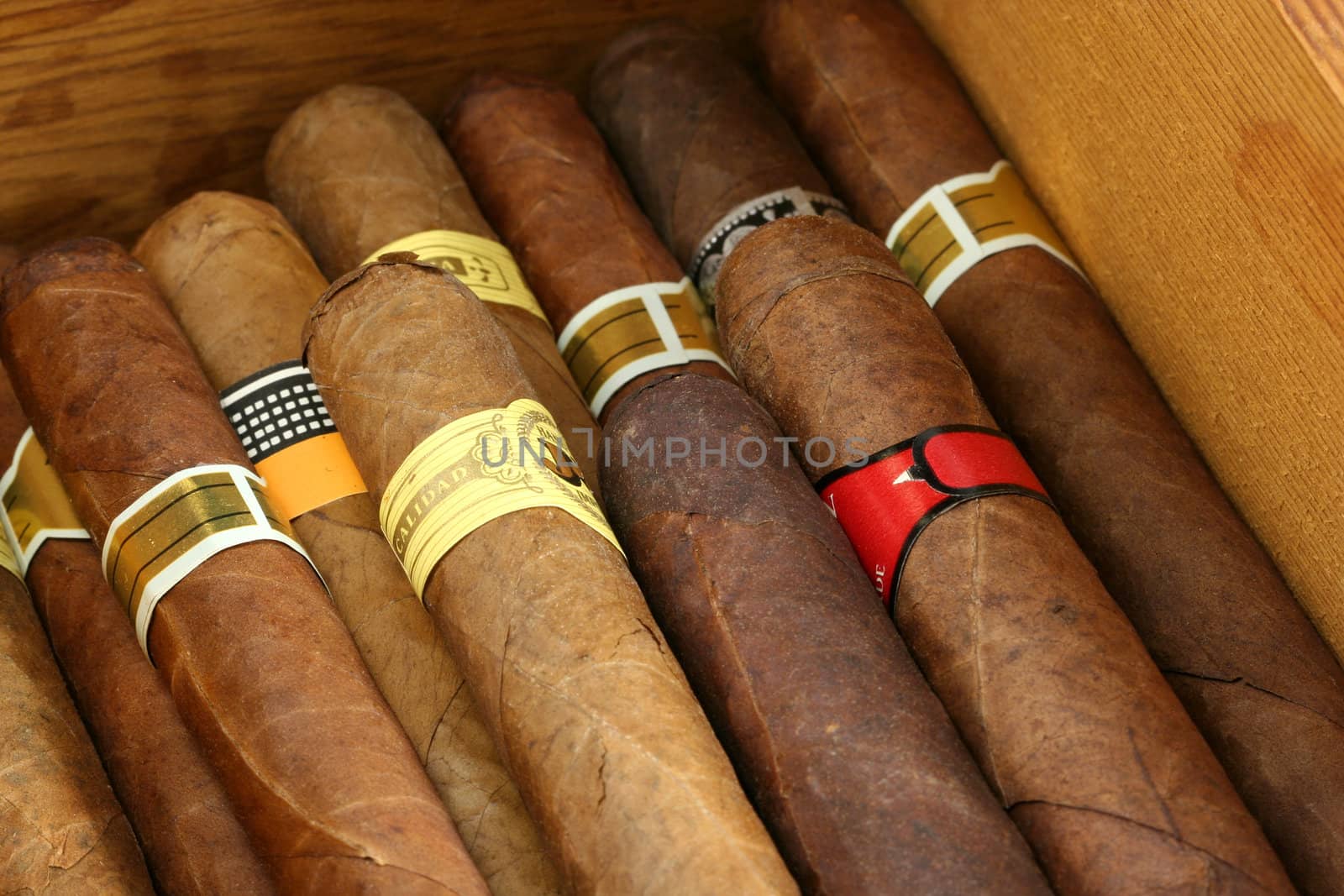 Cigars in a humidor close up