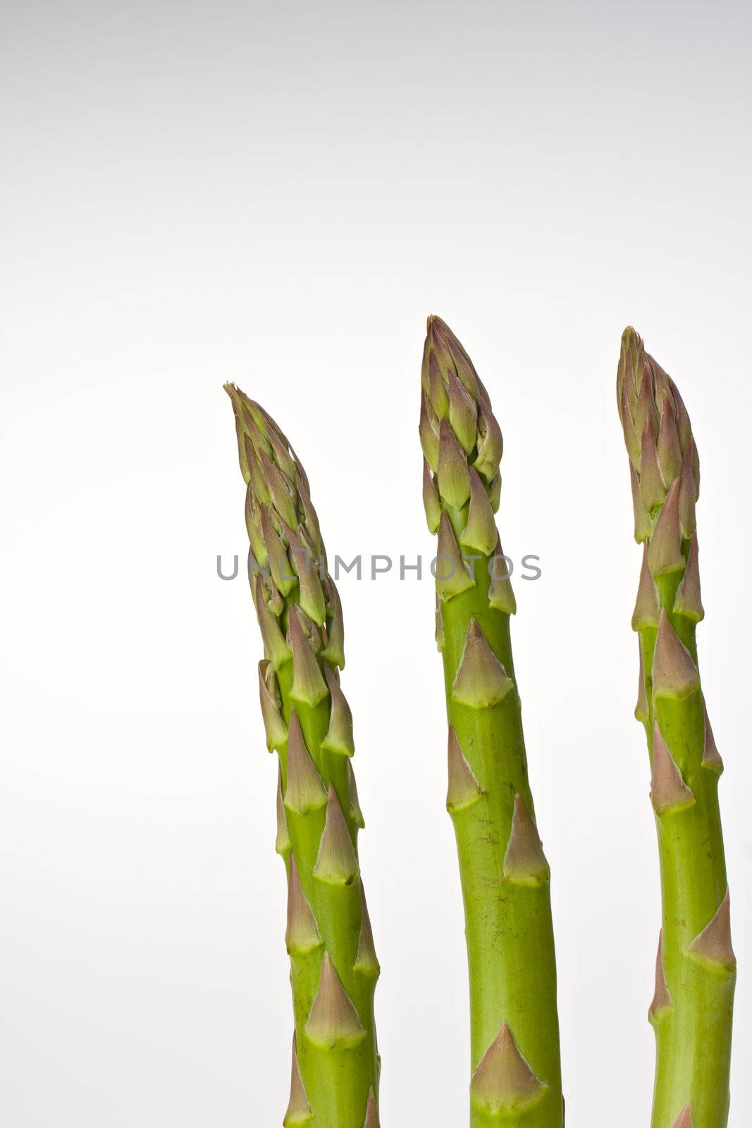 detail of fresh green asparagus isolated on white background by bernjuer