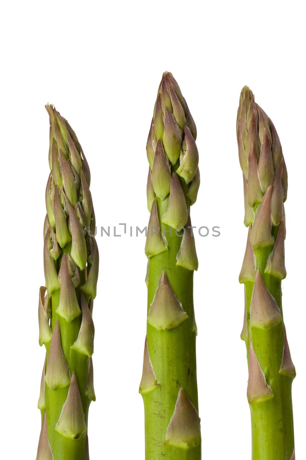 detail of fresh green asparagus isolated on white background by bernjuer
