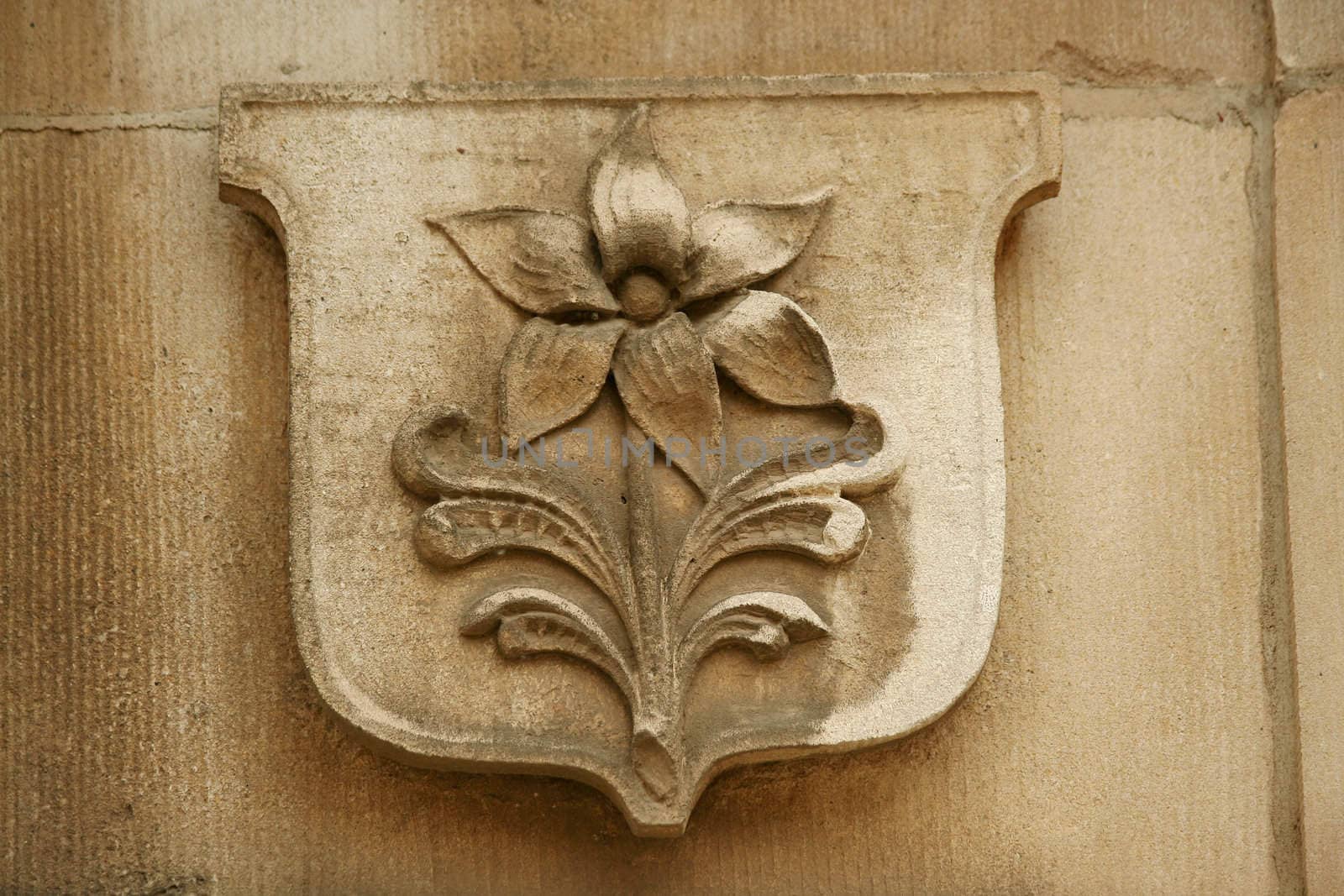 A shield with flower