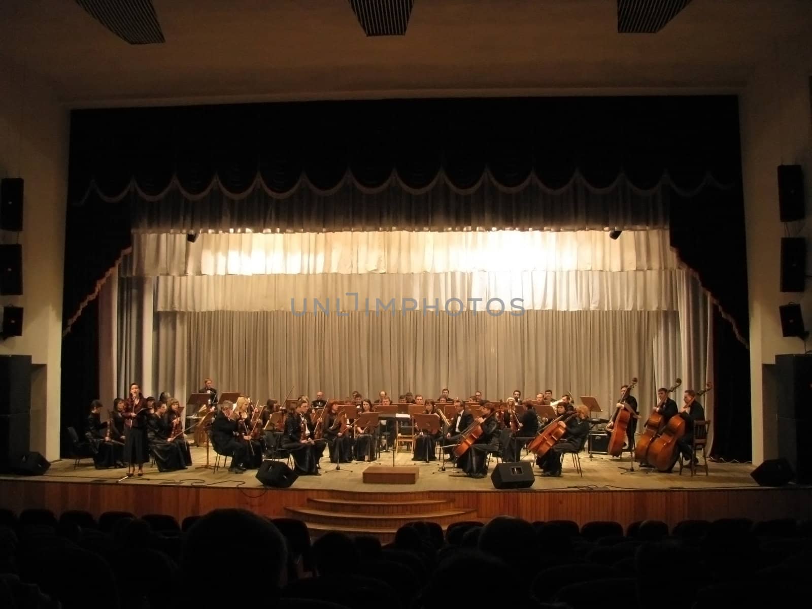 Symphonic orchestra by Viktoha