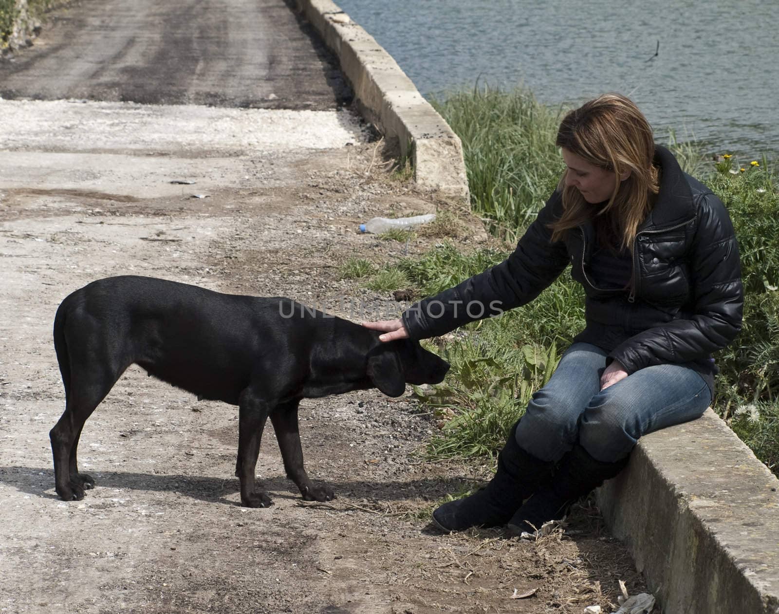 A woman by the roadside petting a stray dog