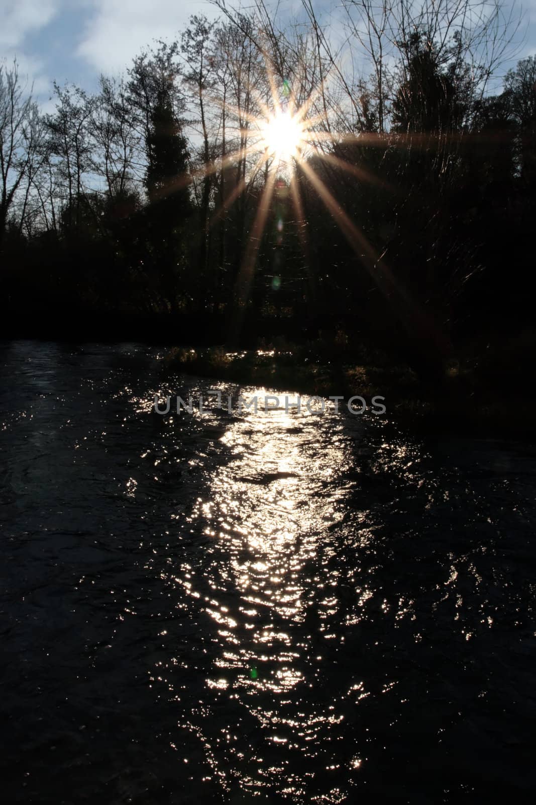 sunshine through the tree tops by a river