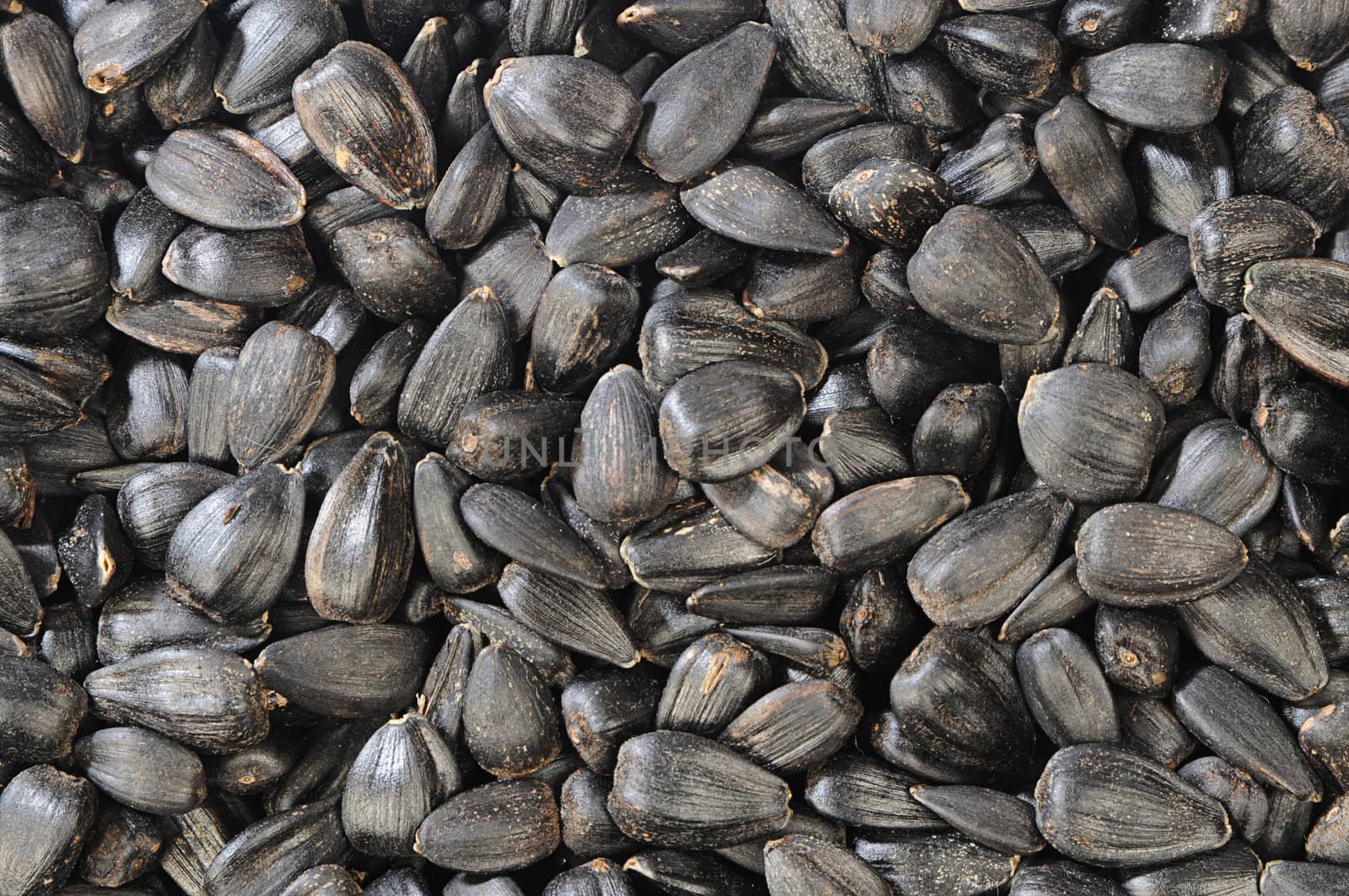 sunflower seed texture. black color background, horizontal, close-up