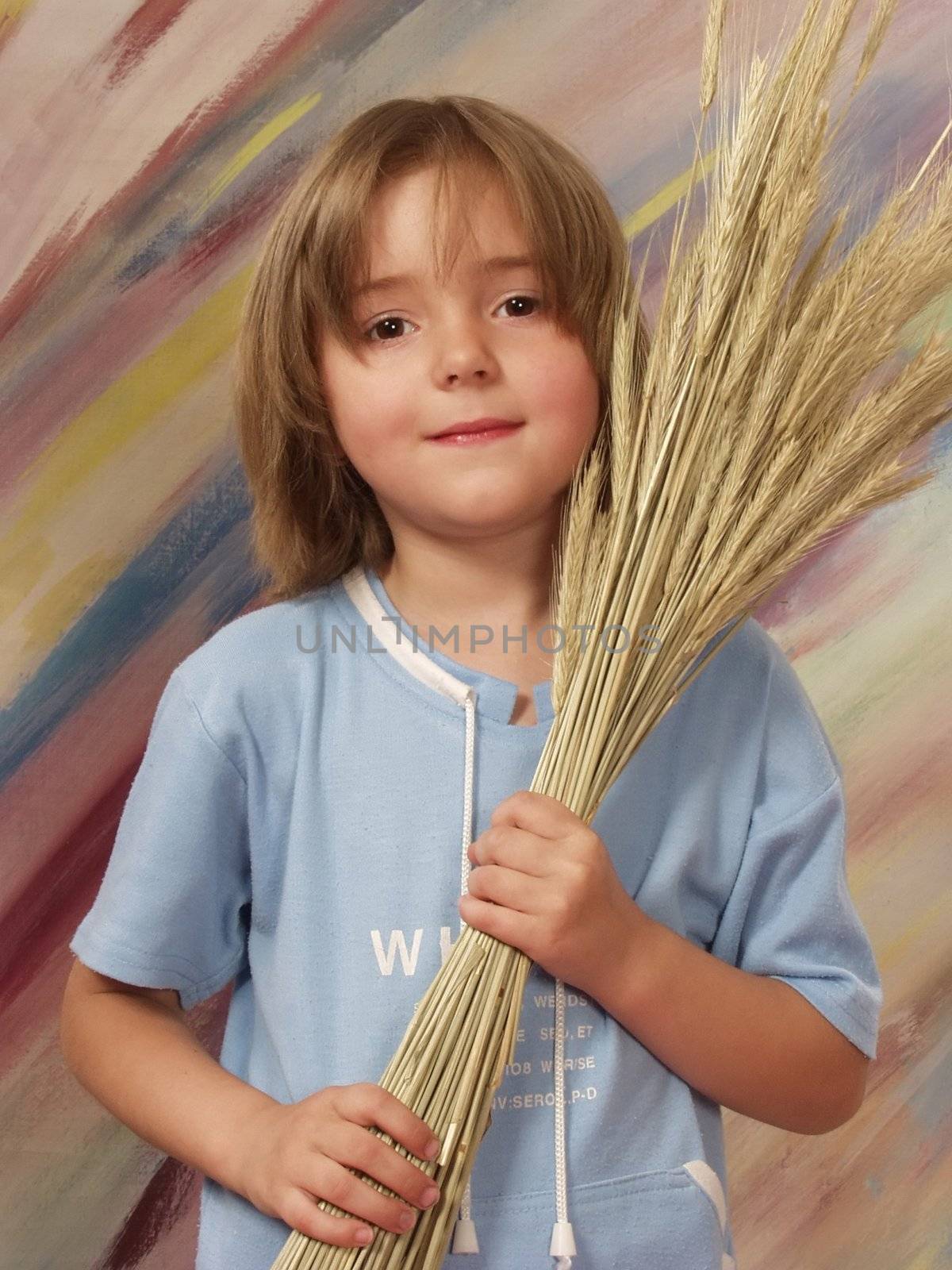 girl four - five years holds the bouquet of dry stems of wheat   