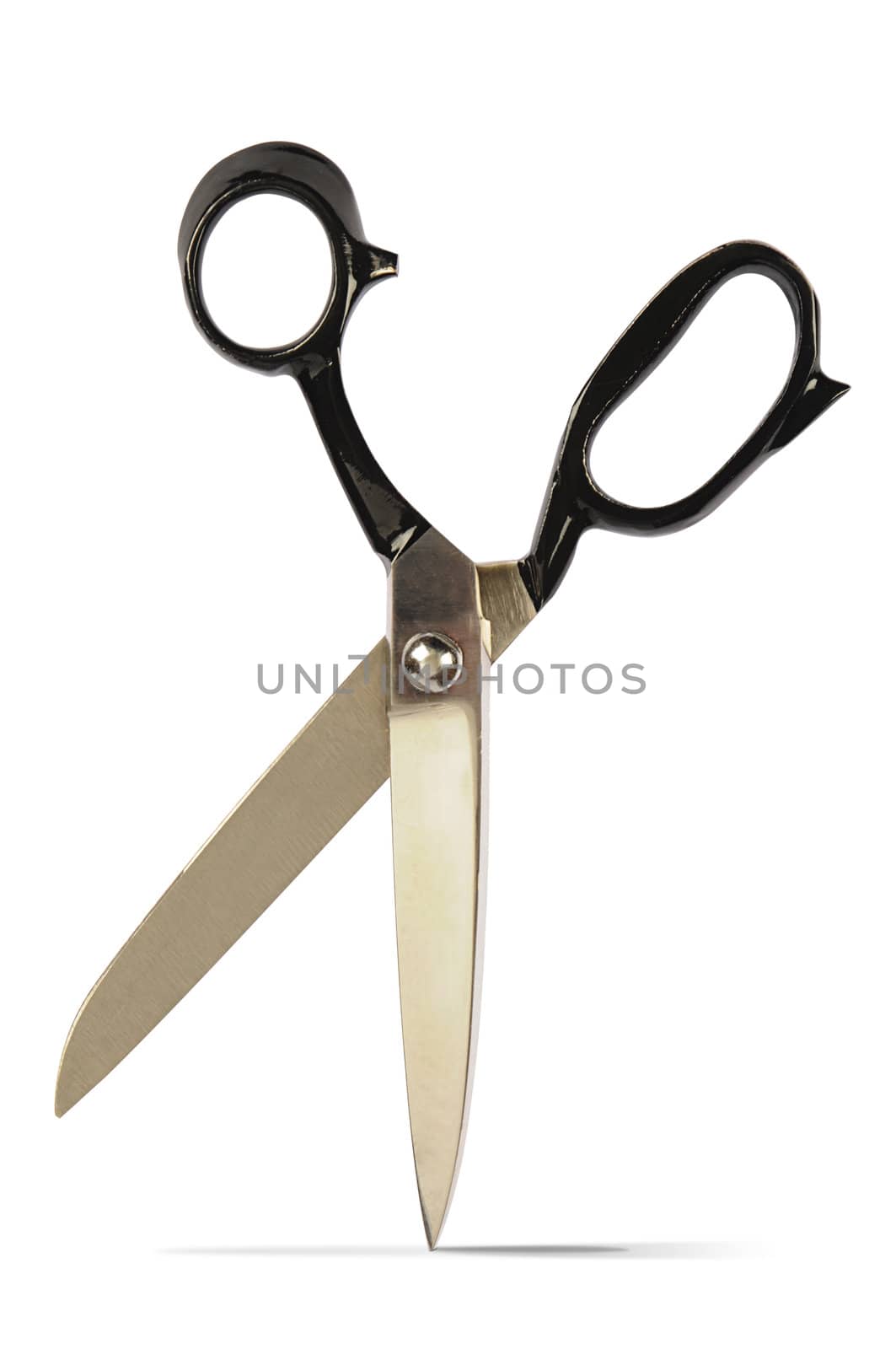 isolated sartorial steel scissors