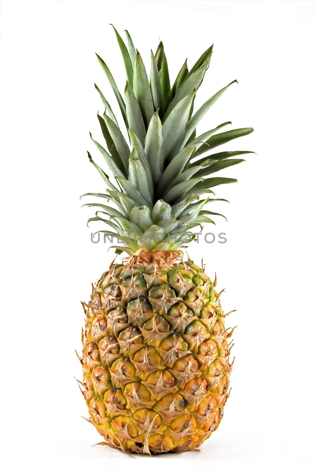 Pineapple isolated on white