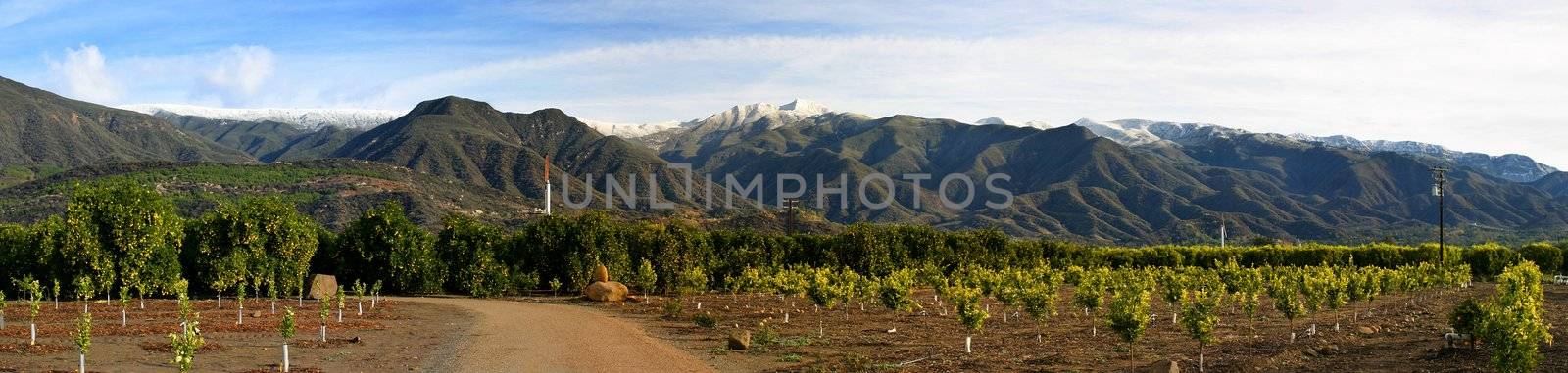 Ojai Valley With Snow(PIII) by hlehnerer