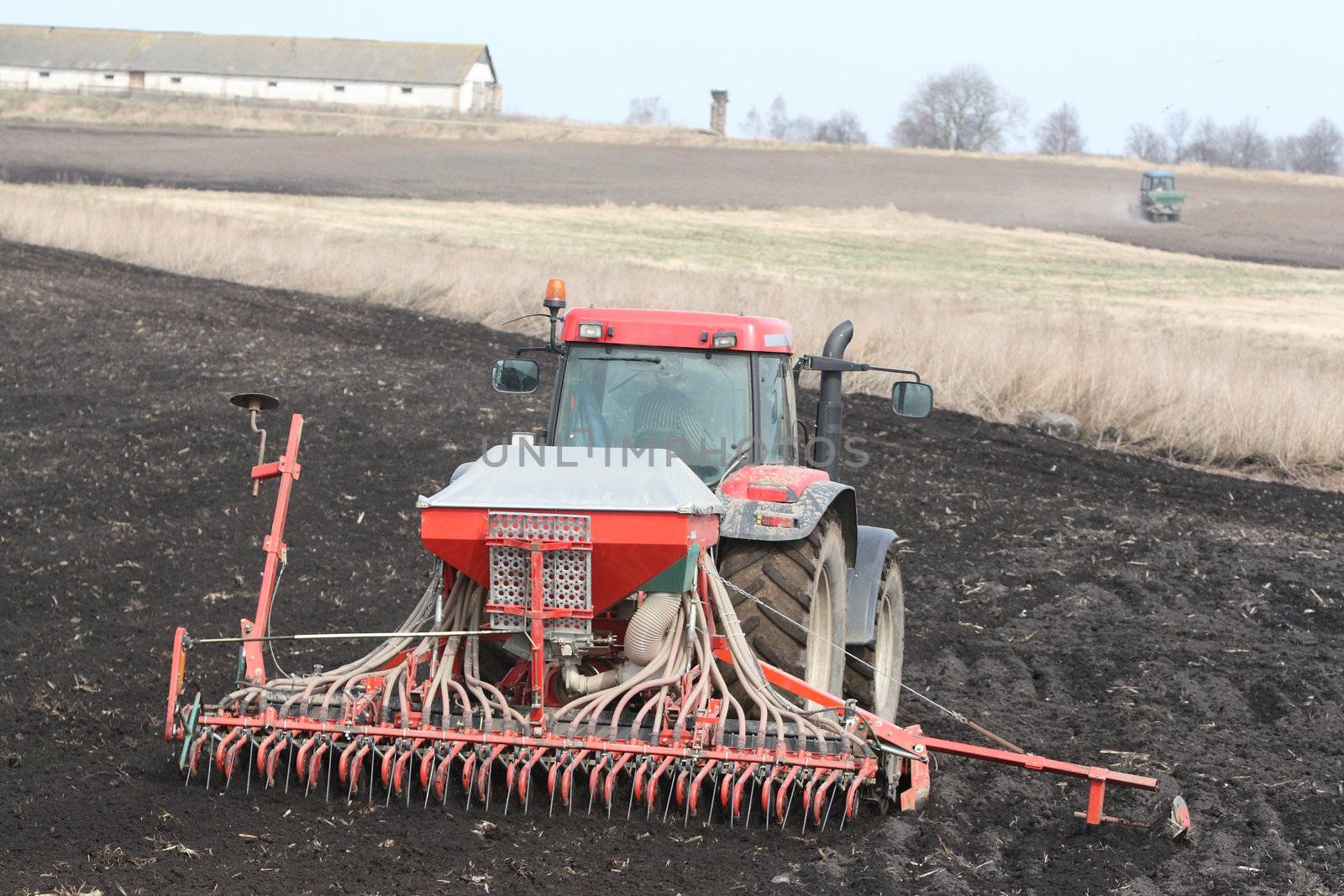Machine harvesting the corn field