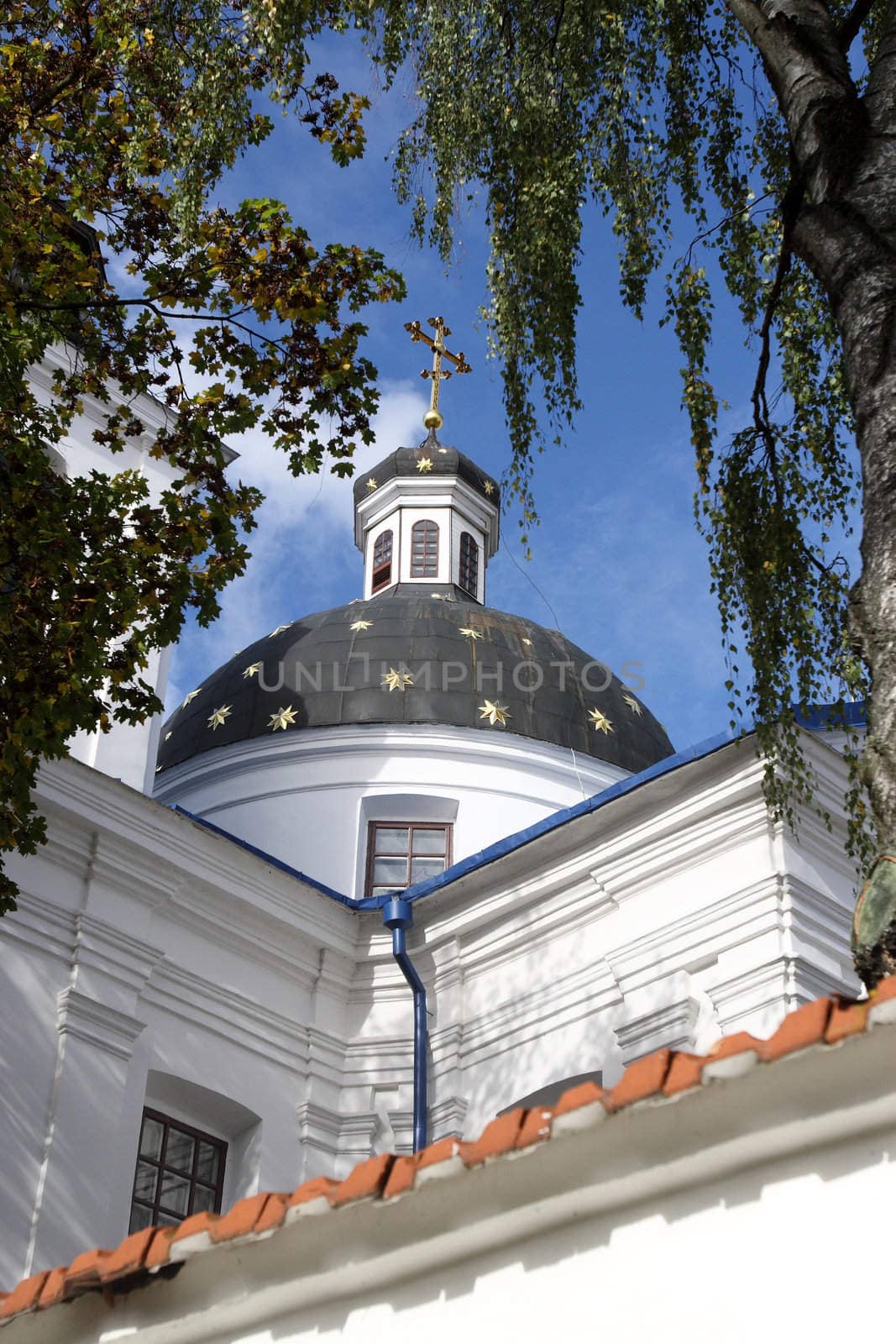 Ortodoxal  church in an environment of greens