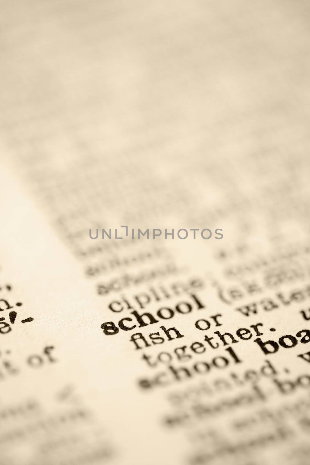 Definition of school. by iofoto