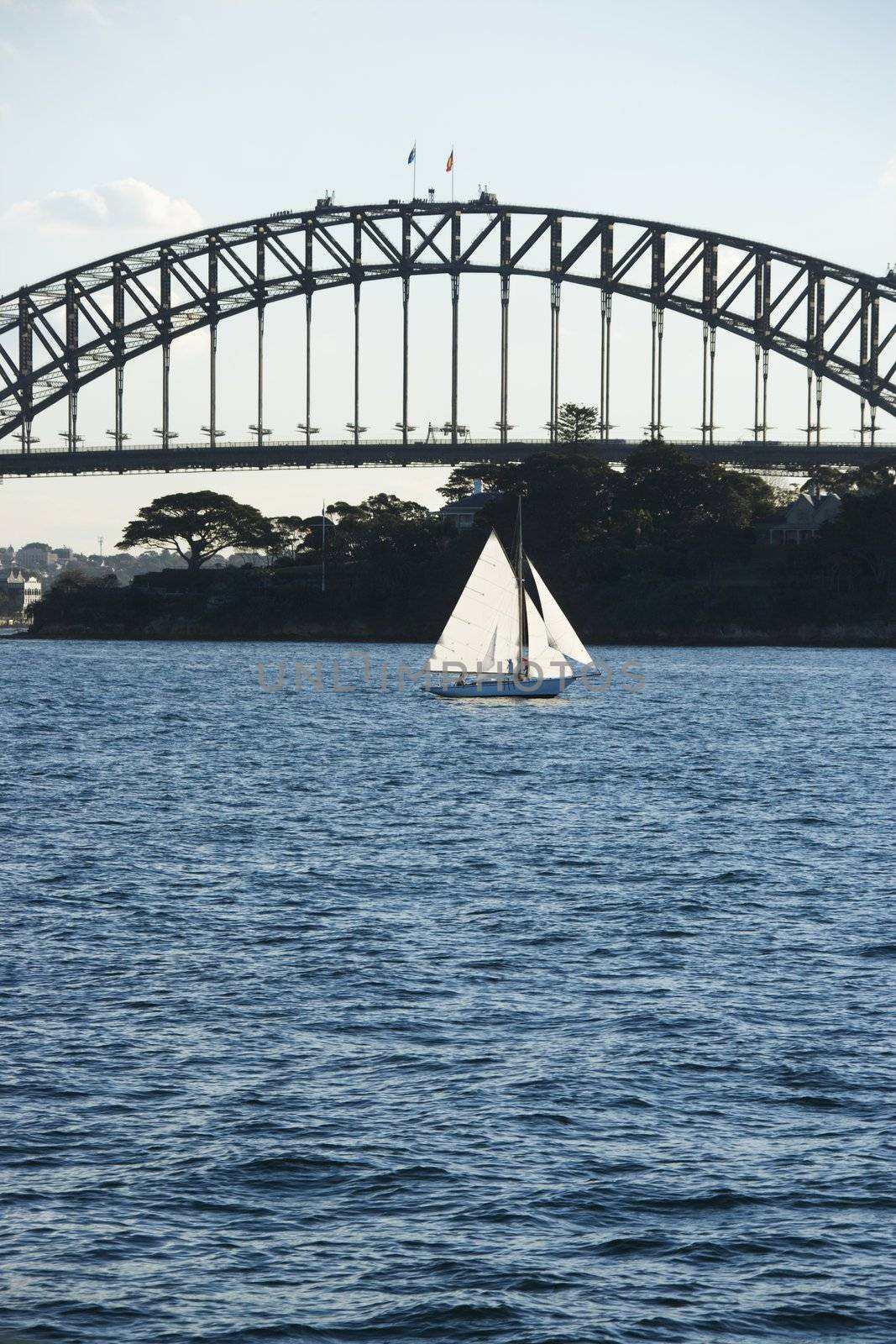 Sydney Harbour Bridge and boat. by iofoto