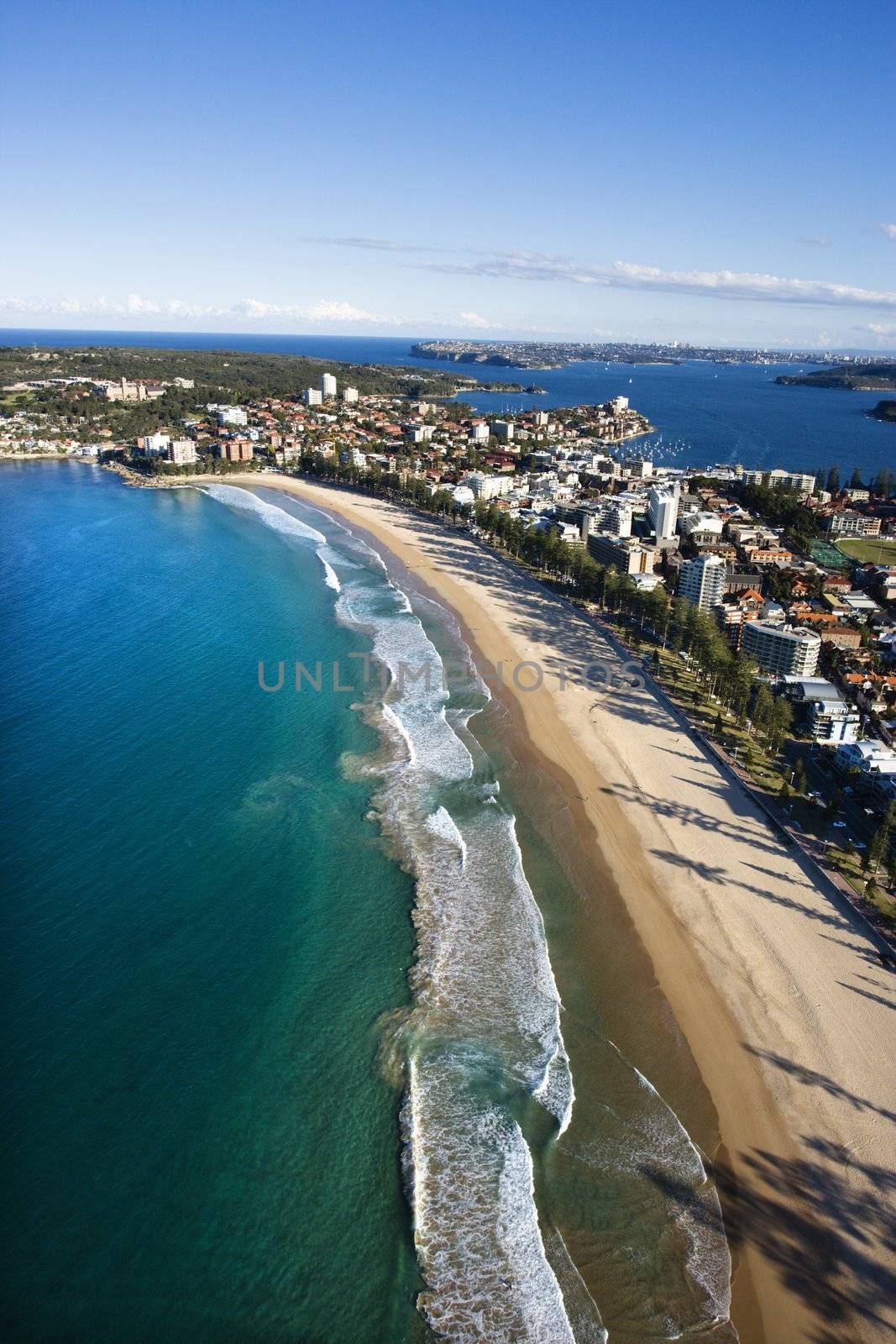 Aerial view of beachfront buildings and ocean in Sydney, Australia.