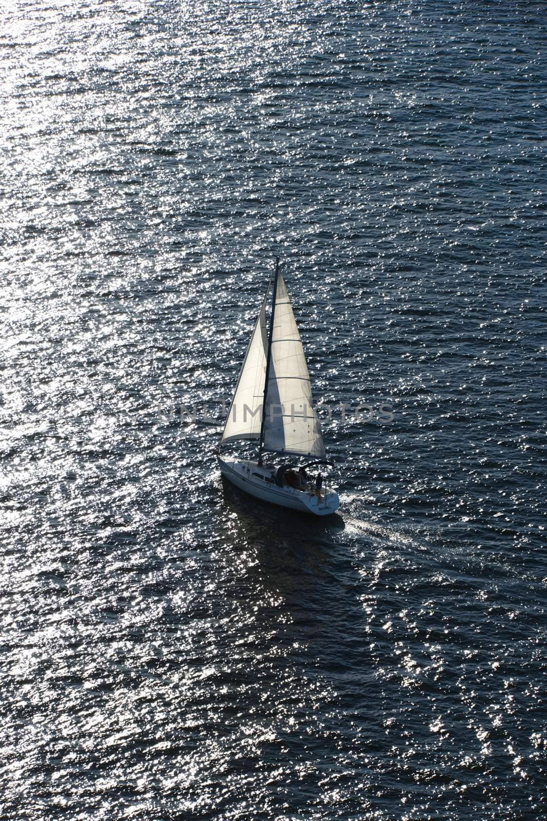 Aerial view of sailboat in Sydney, Australia.