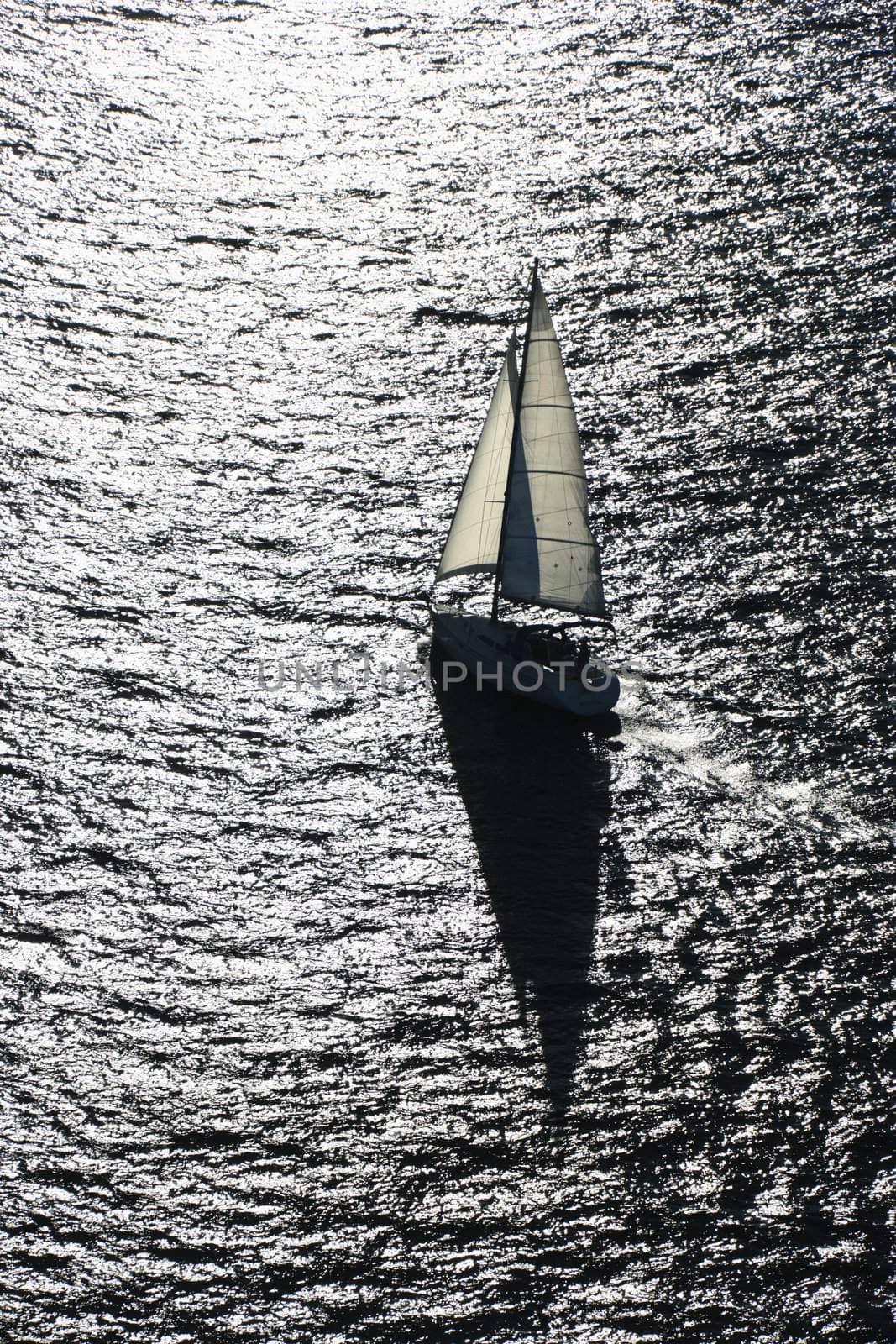 Backlit sailboat. by iofoto