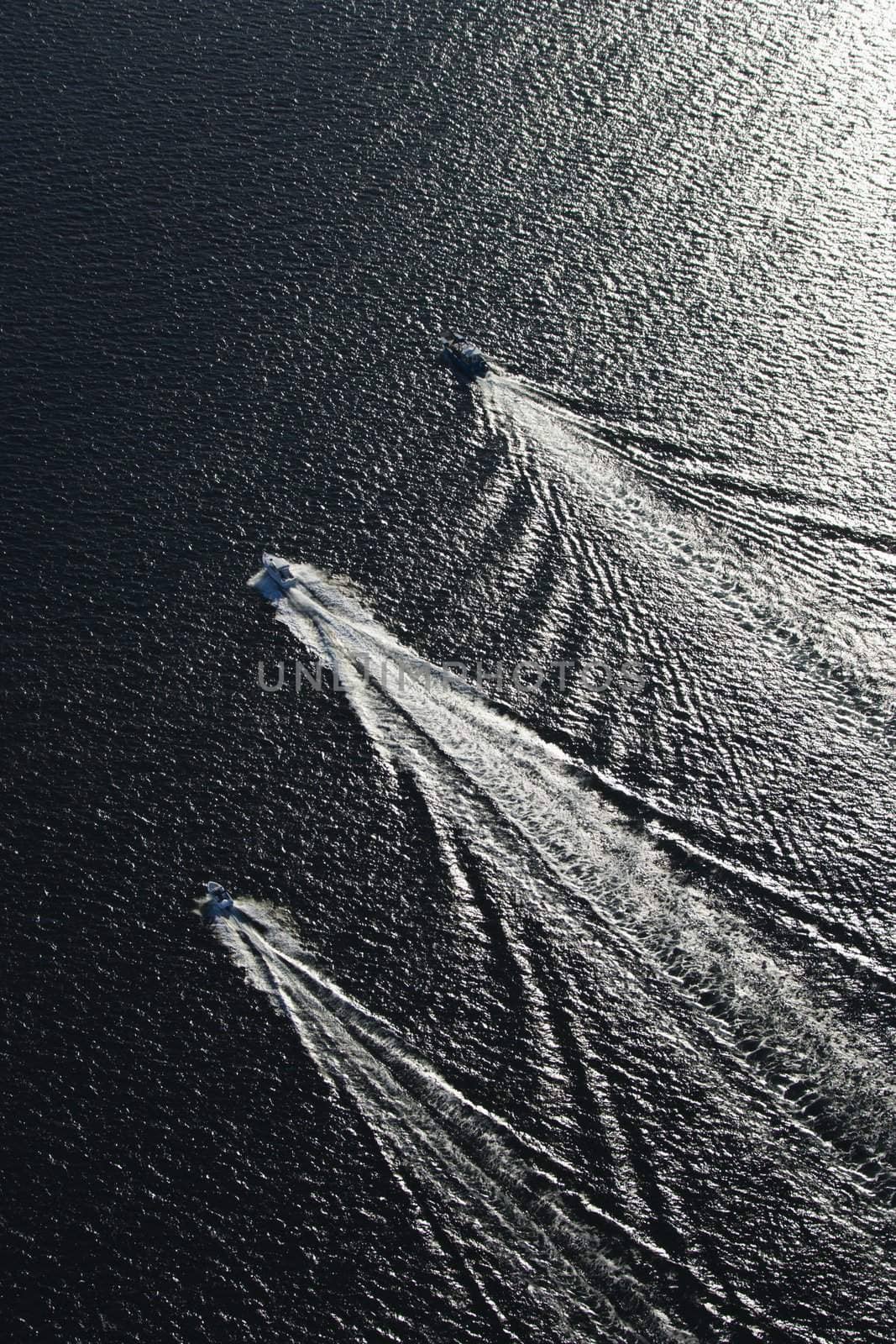 Aerial view of three boats traveling together in Sydney, Australia.