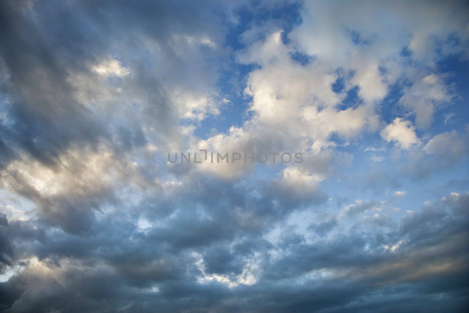 Blue sky with dense cumulus clouds.