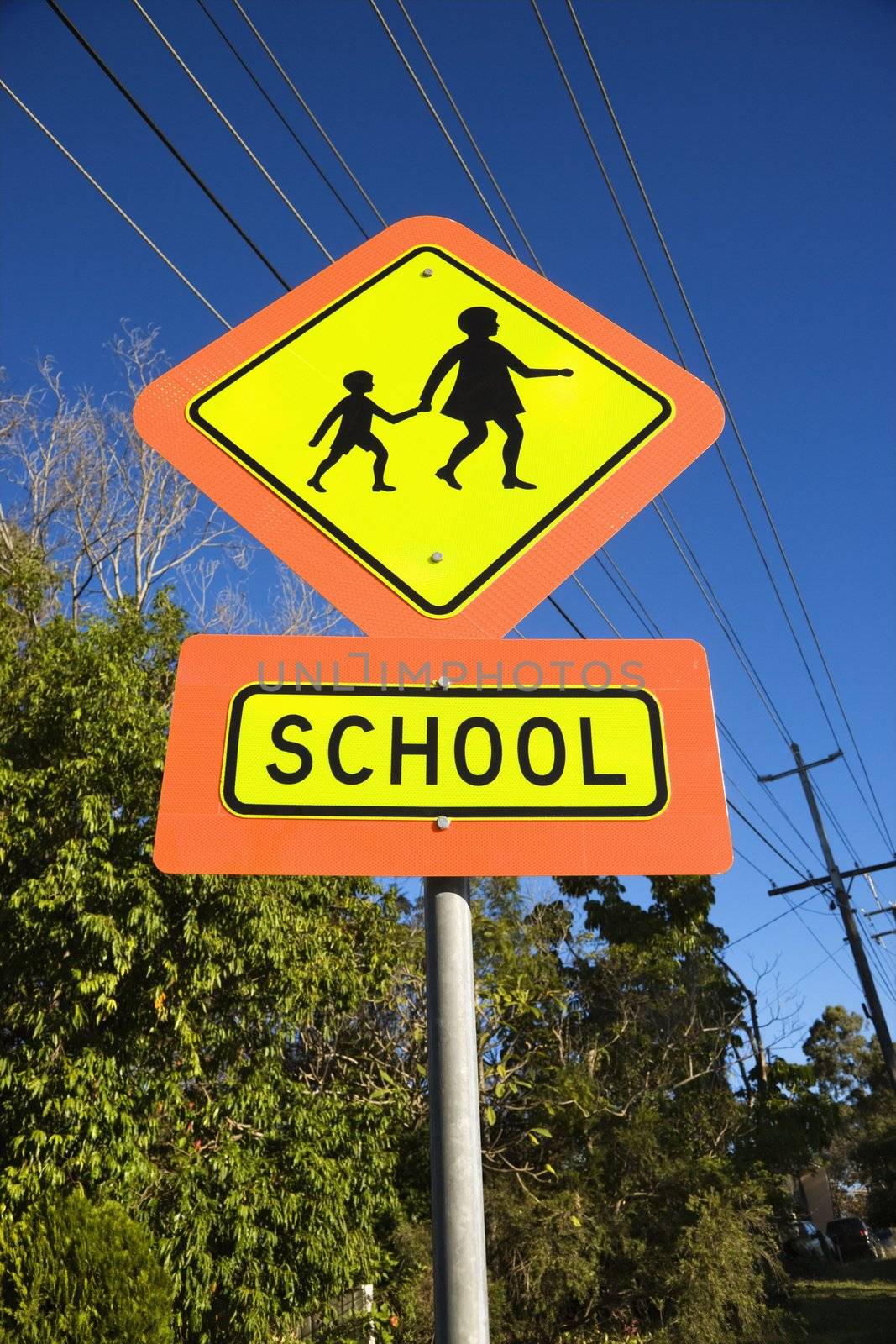 Low angle view of School crosswalk sign in Surfers Paradise, Australia.