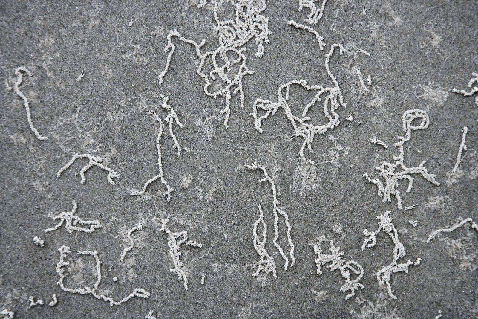 Squiggles in sand. by iofoto