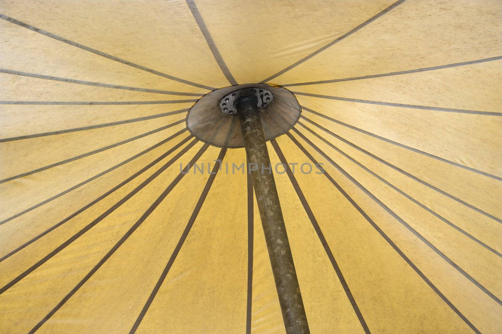 Detail of open umbrella underside.