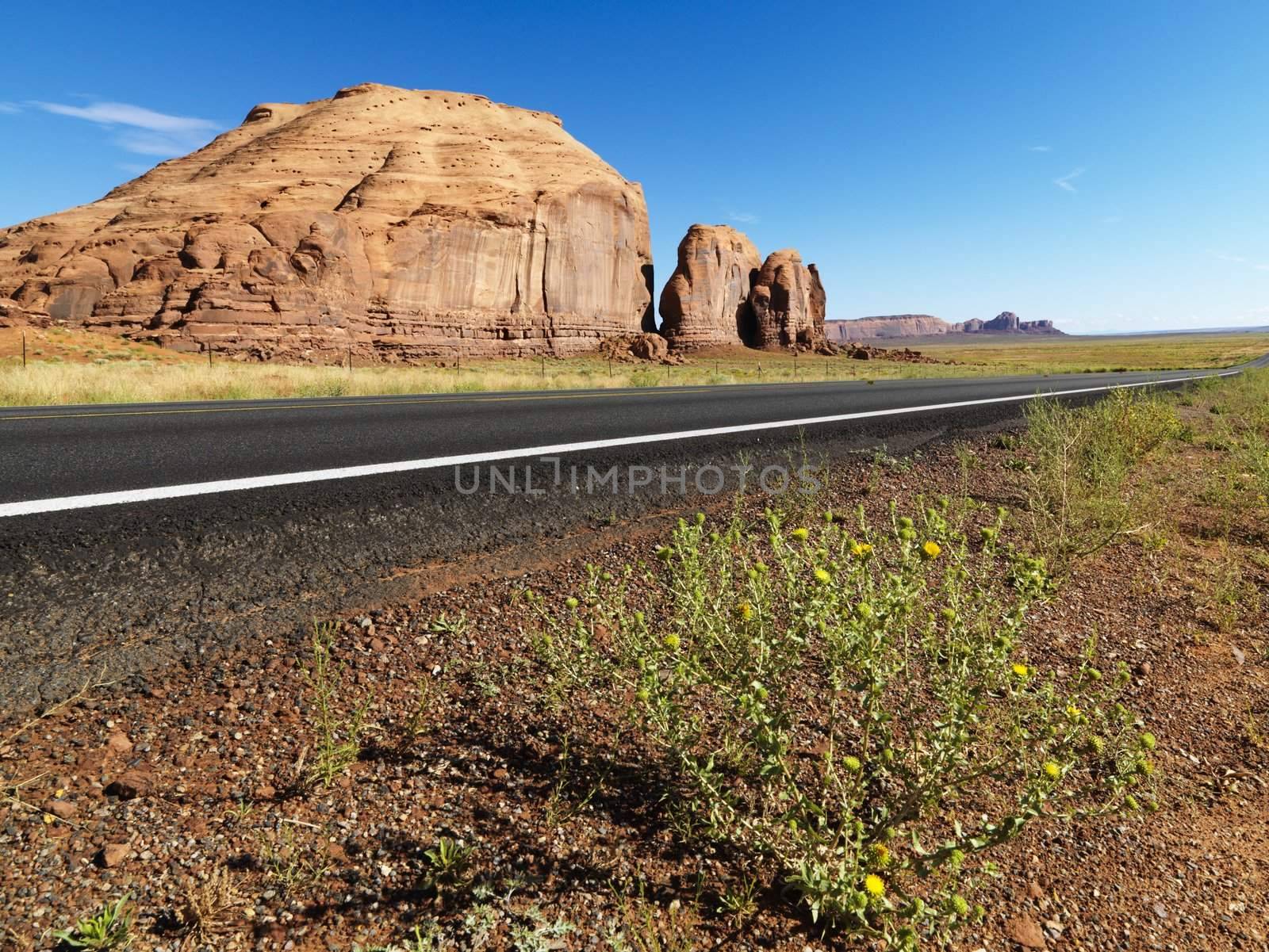 Desert mesa with road. by iofoto
