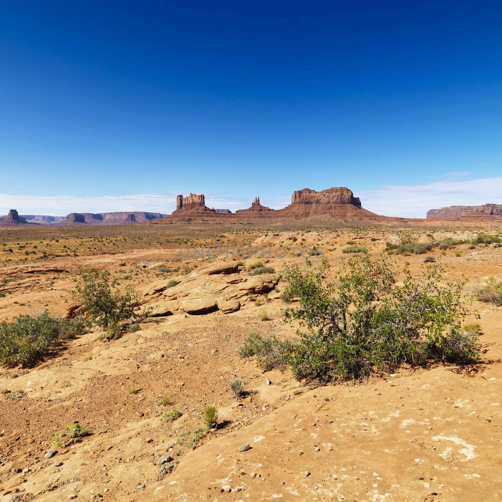 Scenic desert landscape with mountains and foliage.