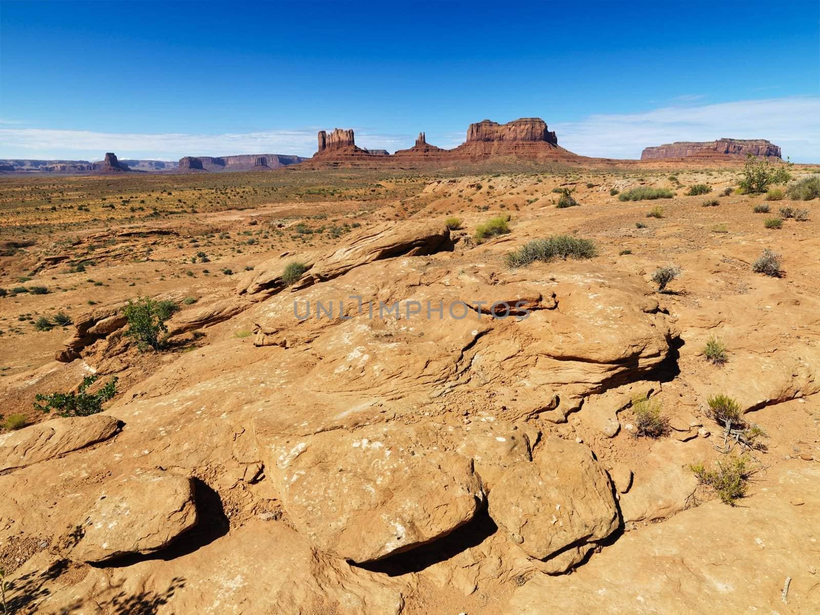 Rocky desert landscape with landforms and mountains.