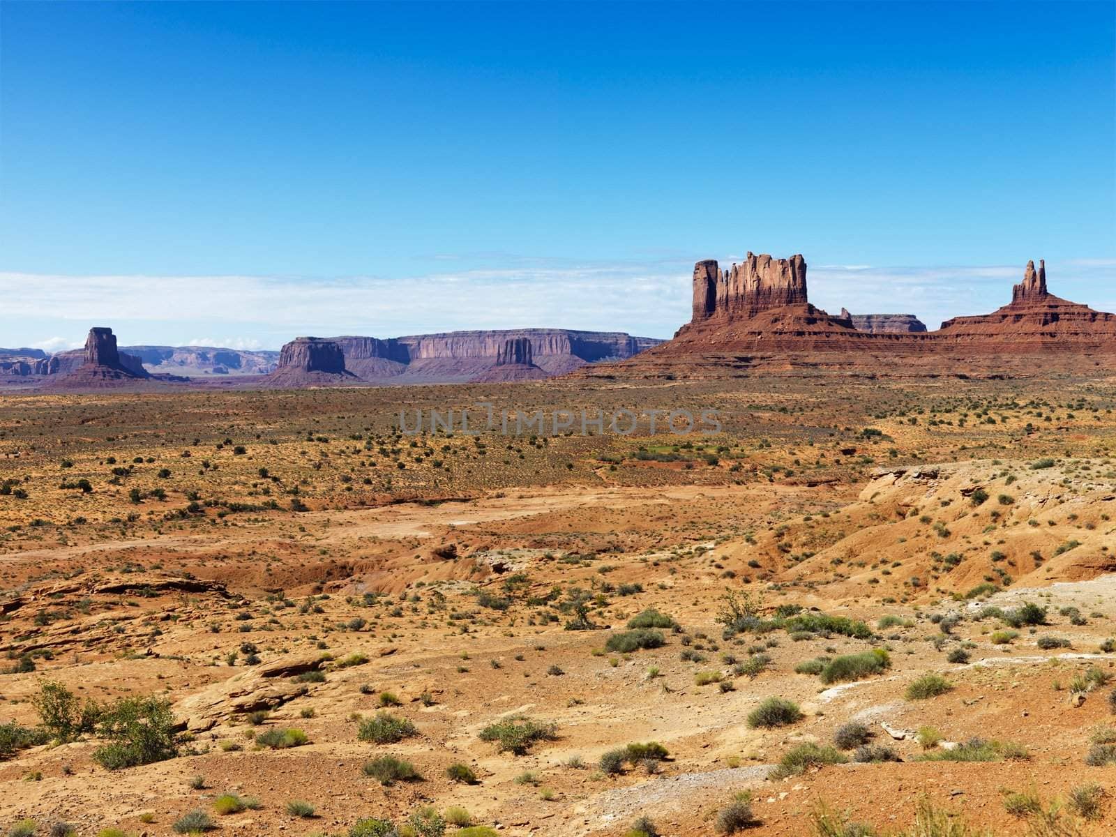 Desert butte landscape. by iofoto