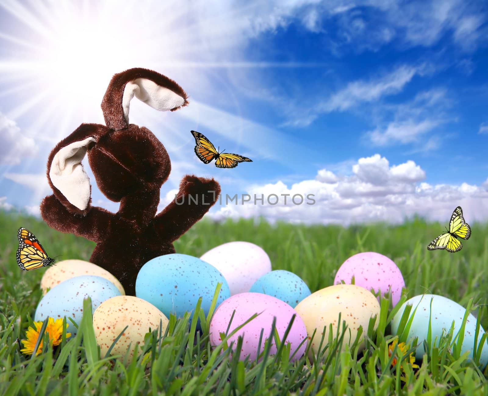 Bright Field With Easter Bunny Rabbit Eggs and Butterflies