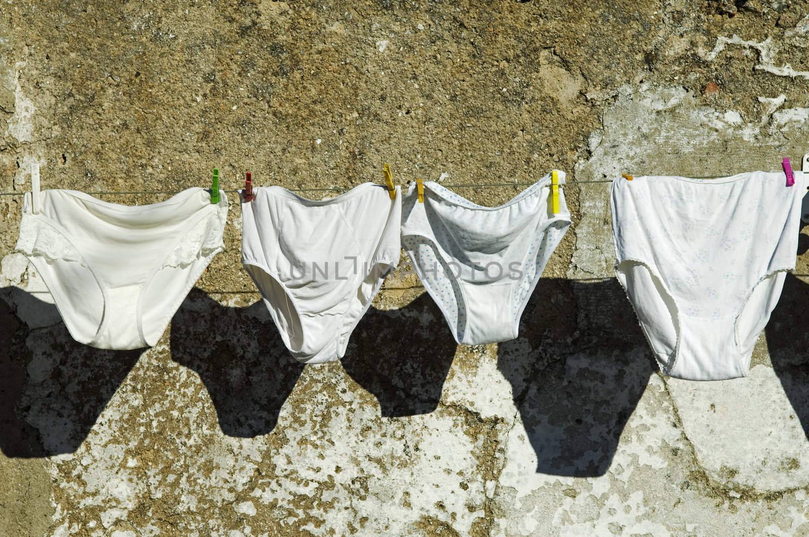 Knickers drying hanged in a cloth line 