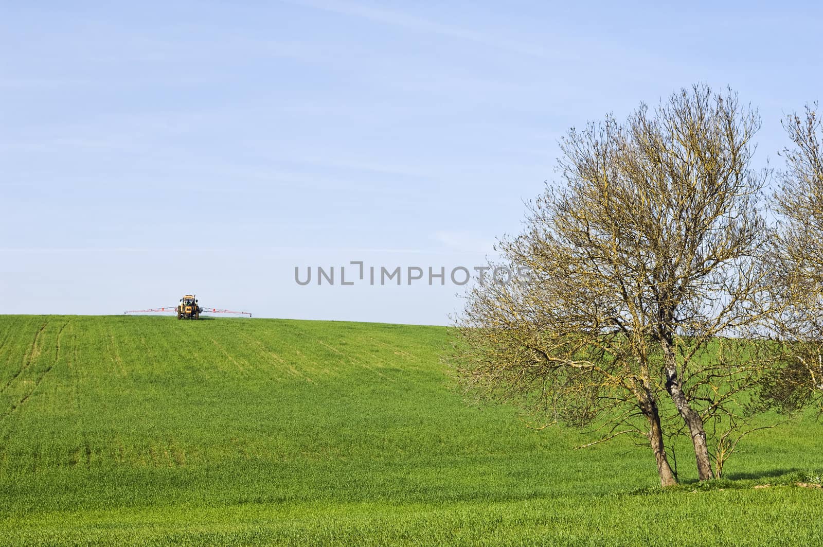 Rural scene - green field harvest landscape in spring with tractor