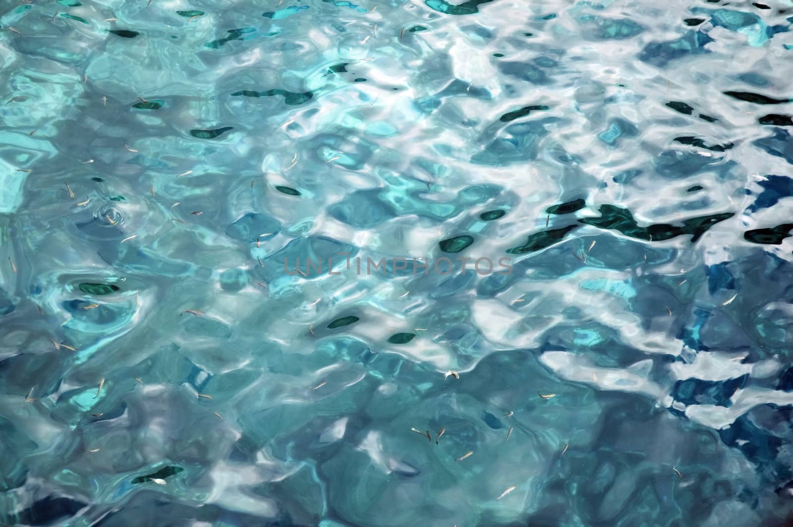 Calm water surface detail rippled by the wind.