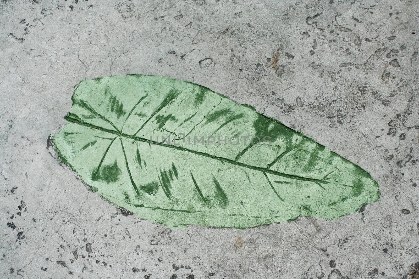 Green Leaf impression in a cement sidewalk