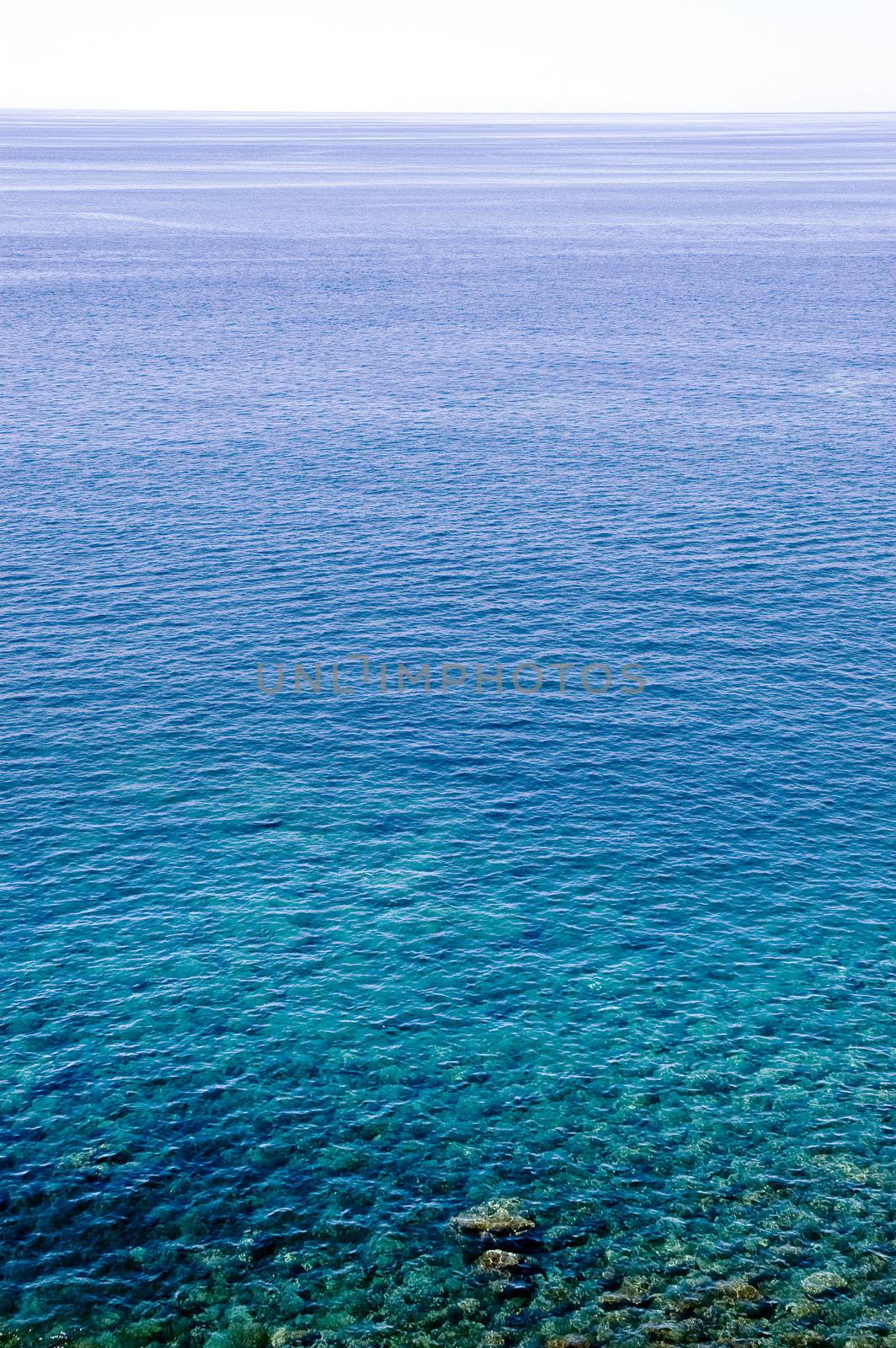 Calm water surface detail rippled by the wind.