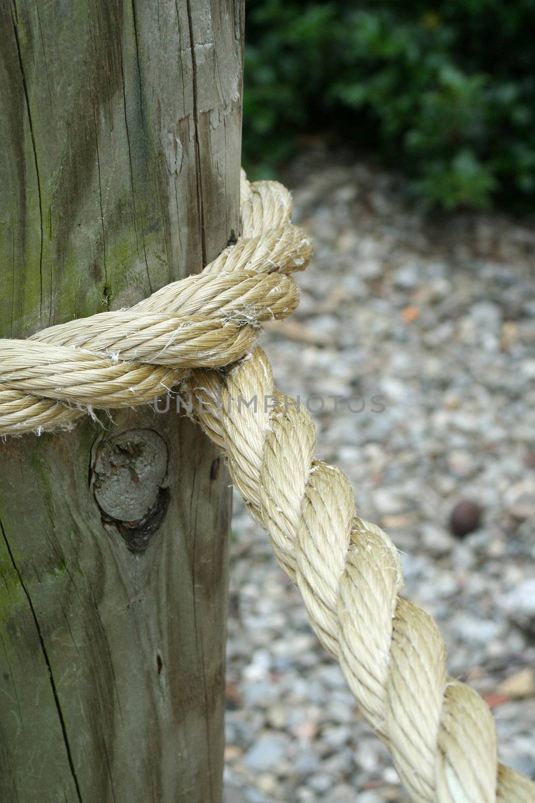 A piece of Rope wrapped around a pole