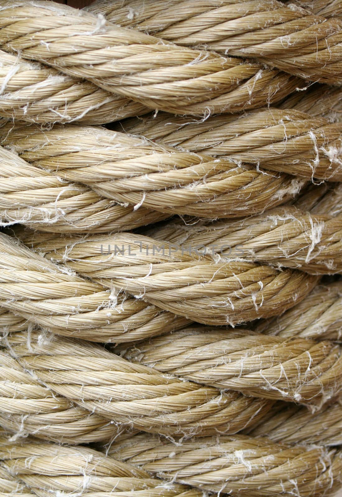 A Wound up rope macro backround