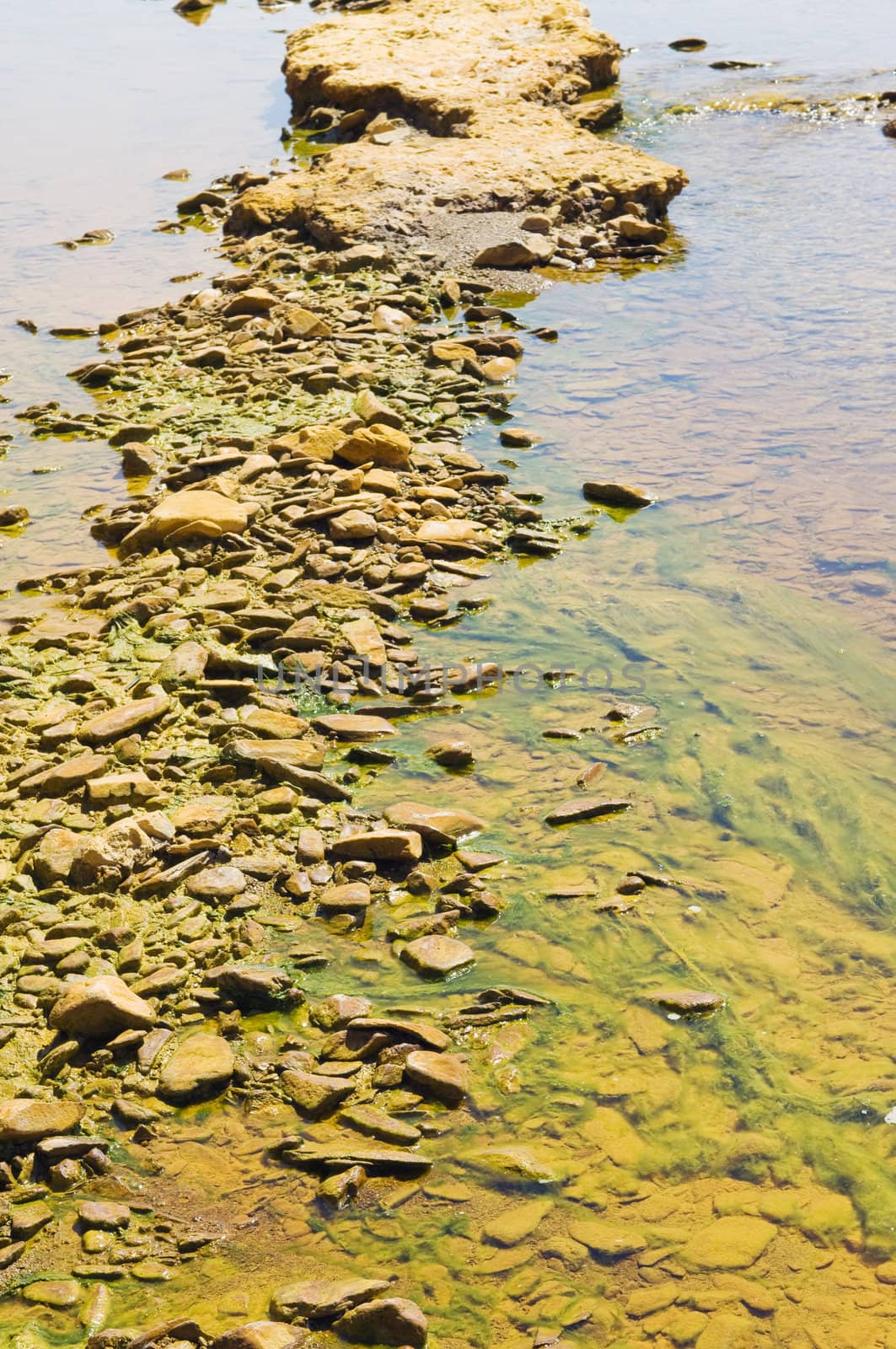 Detail of polluted river by chemicals near an abandoned mine