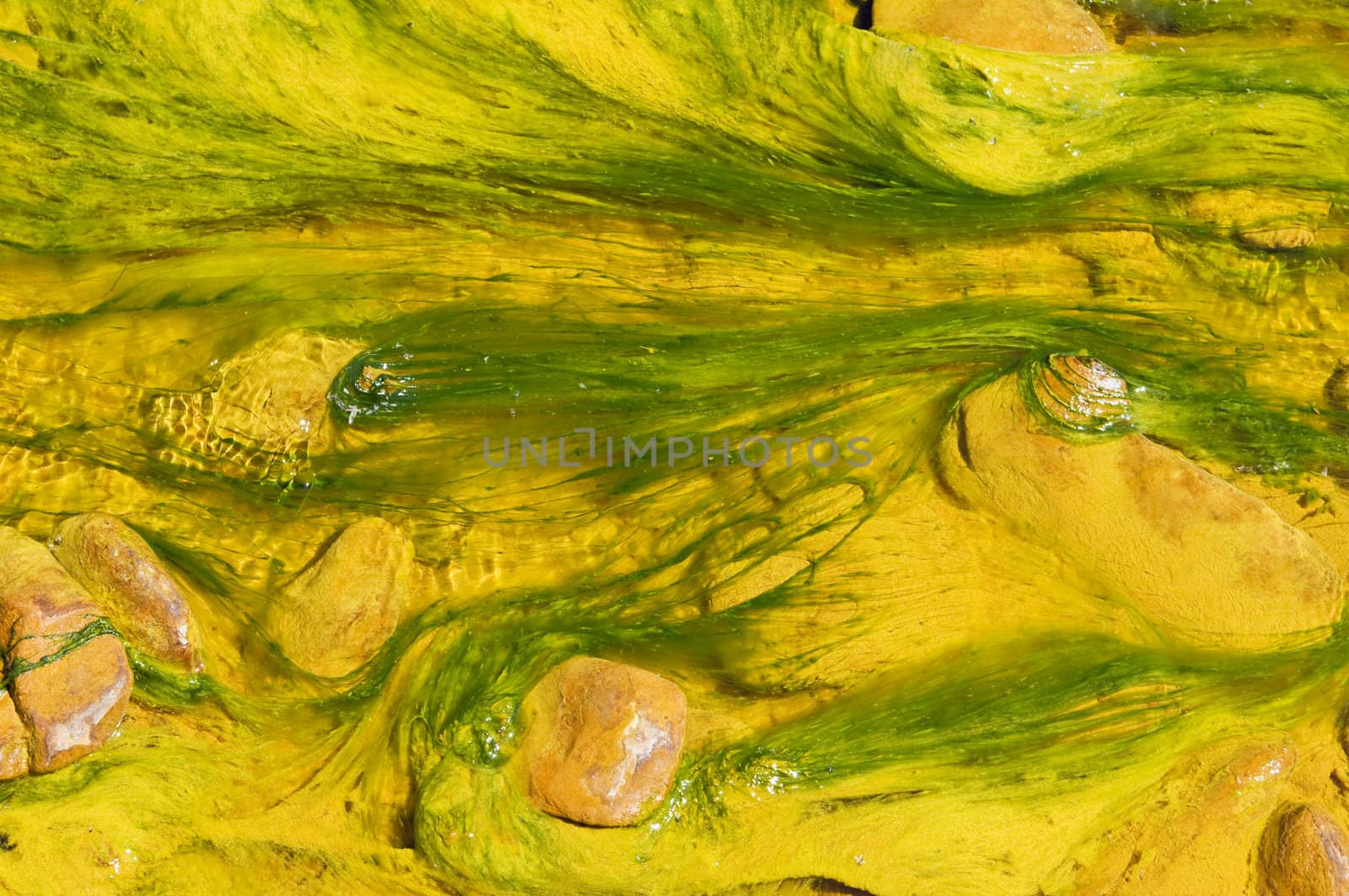 Detail of polluted river by chemicals near an abandoned mine