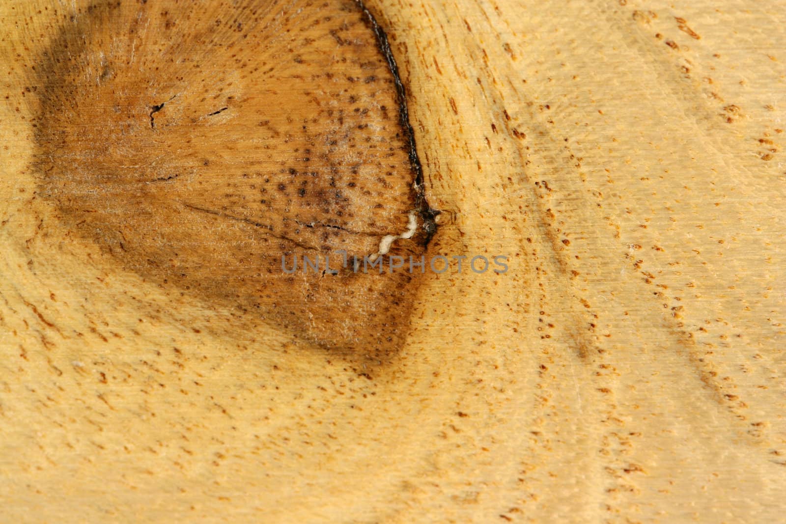 A Wood grain texture abstract backgound