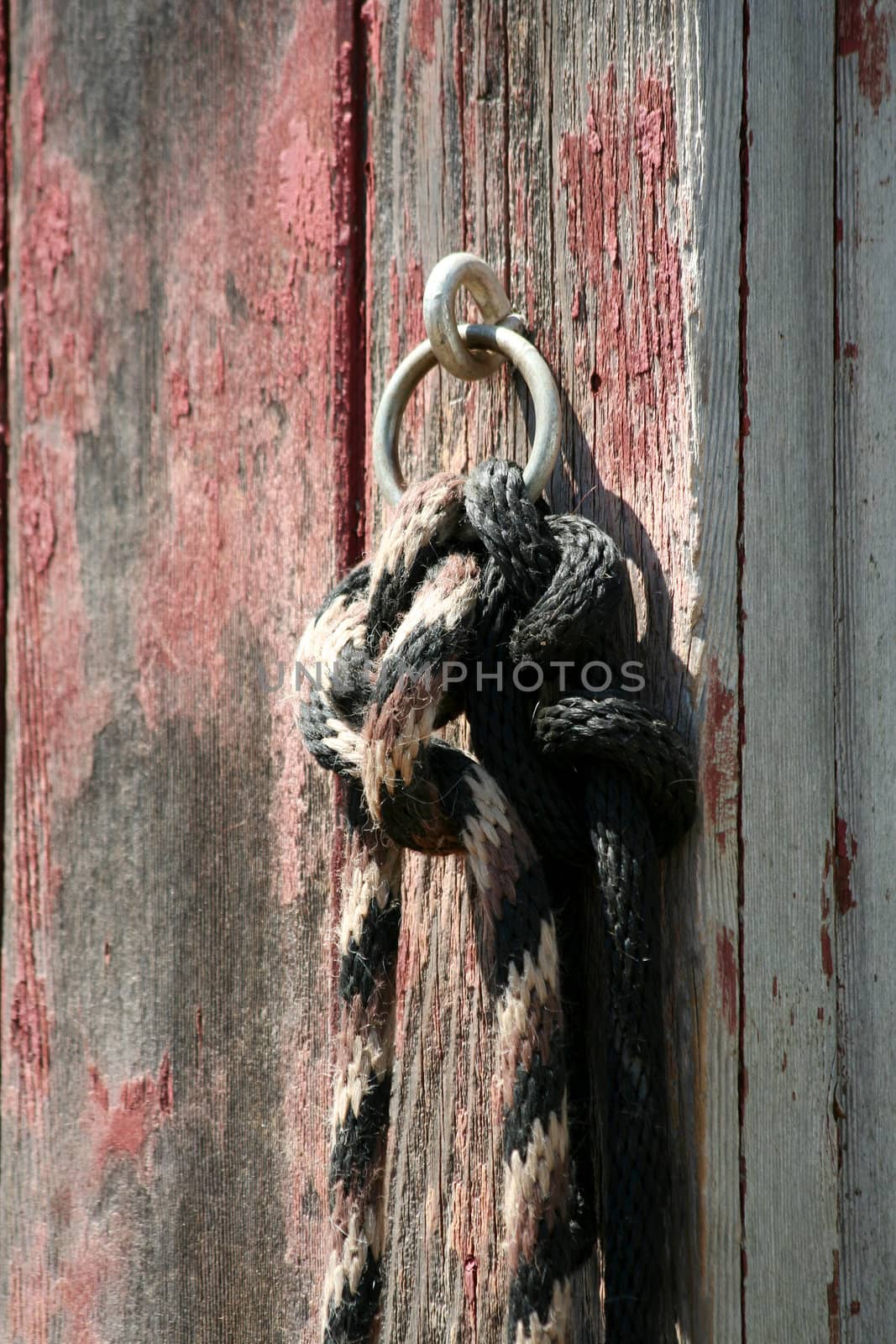 A Horse rope tied to a old red barn