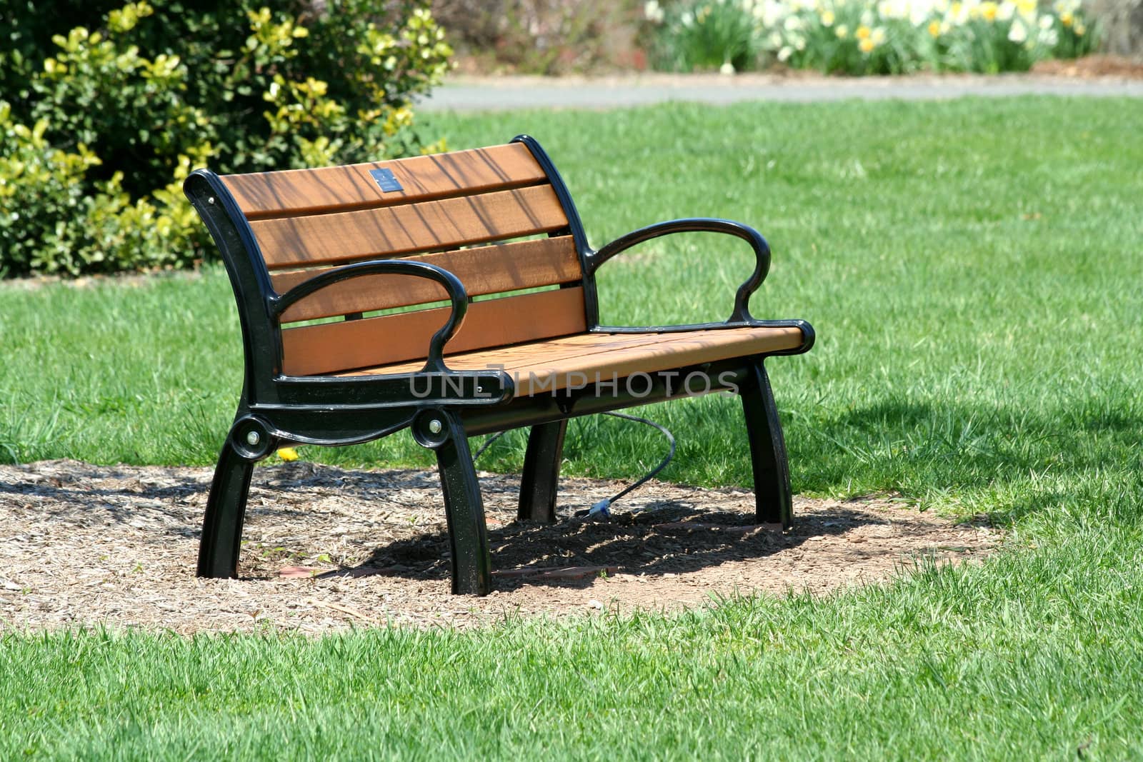 A Wooden bench in the park