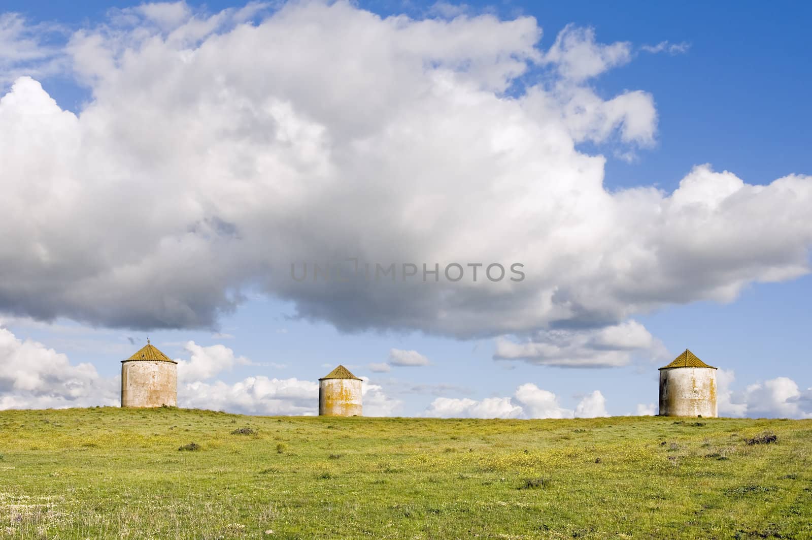 Three traditional agriculture silos in a field of yellow flowers, Alentejo, Portugal