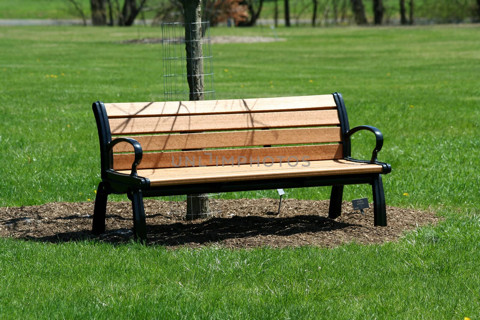 A Wooden bench in the park